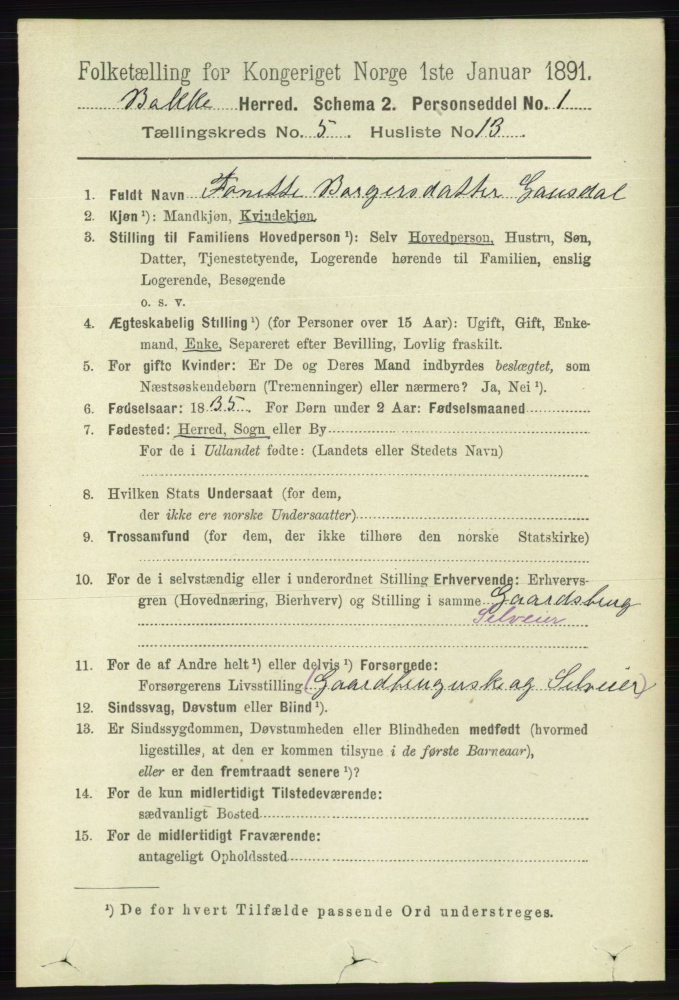 RA, 1891 census for 1045 Bakke, 1891, p. 1141