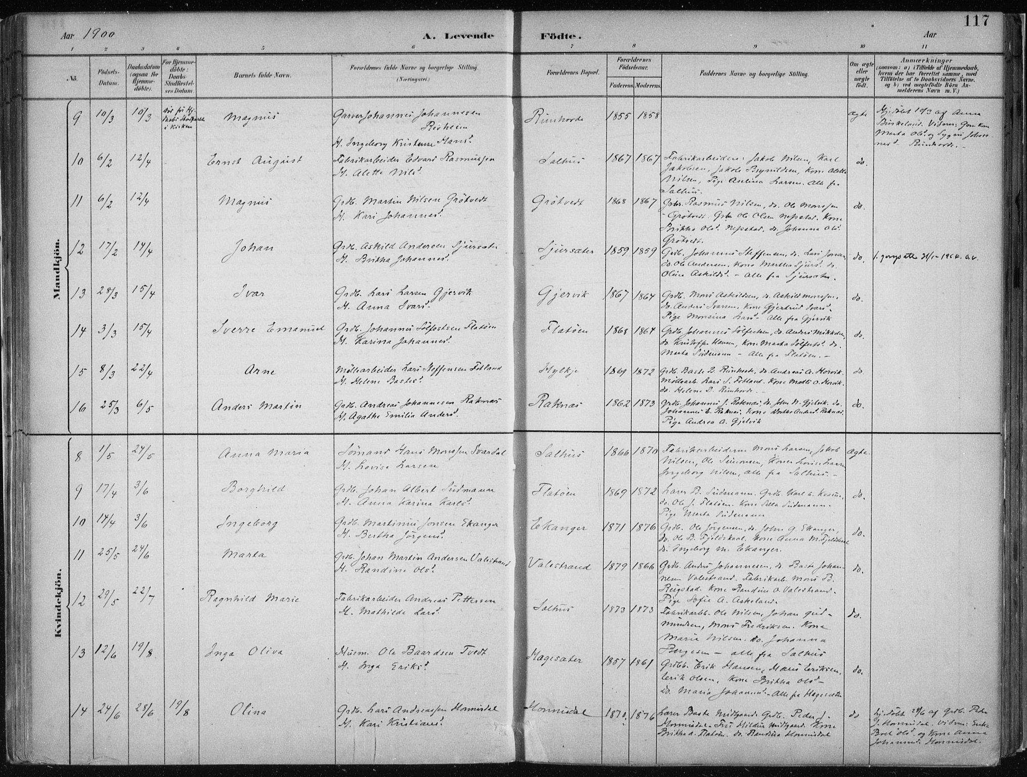 Hamre sokneprestembete, AV/SAB-A-75501/H/Ha/Haa/Haab/L0001: Parish register (official) no. B  1, 1882-1905, p. 117