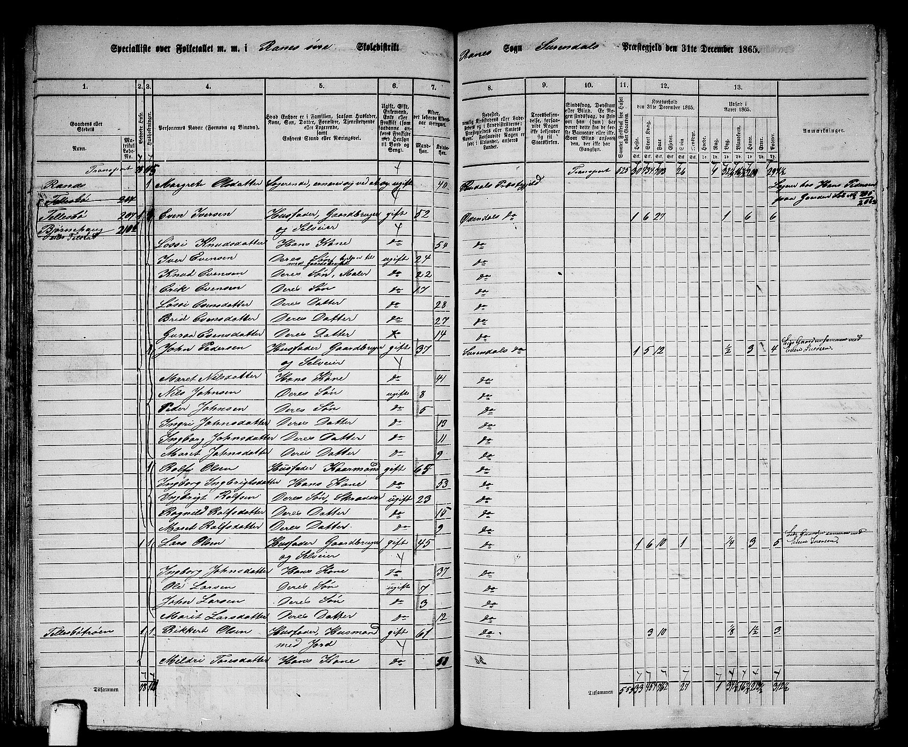 RA, 1865 census for Surnadal, 1865, p. 74