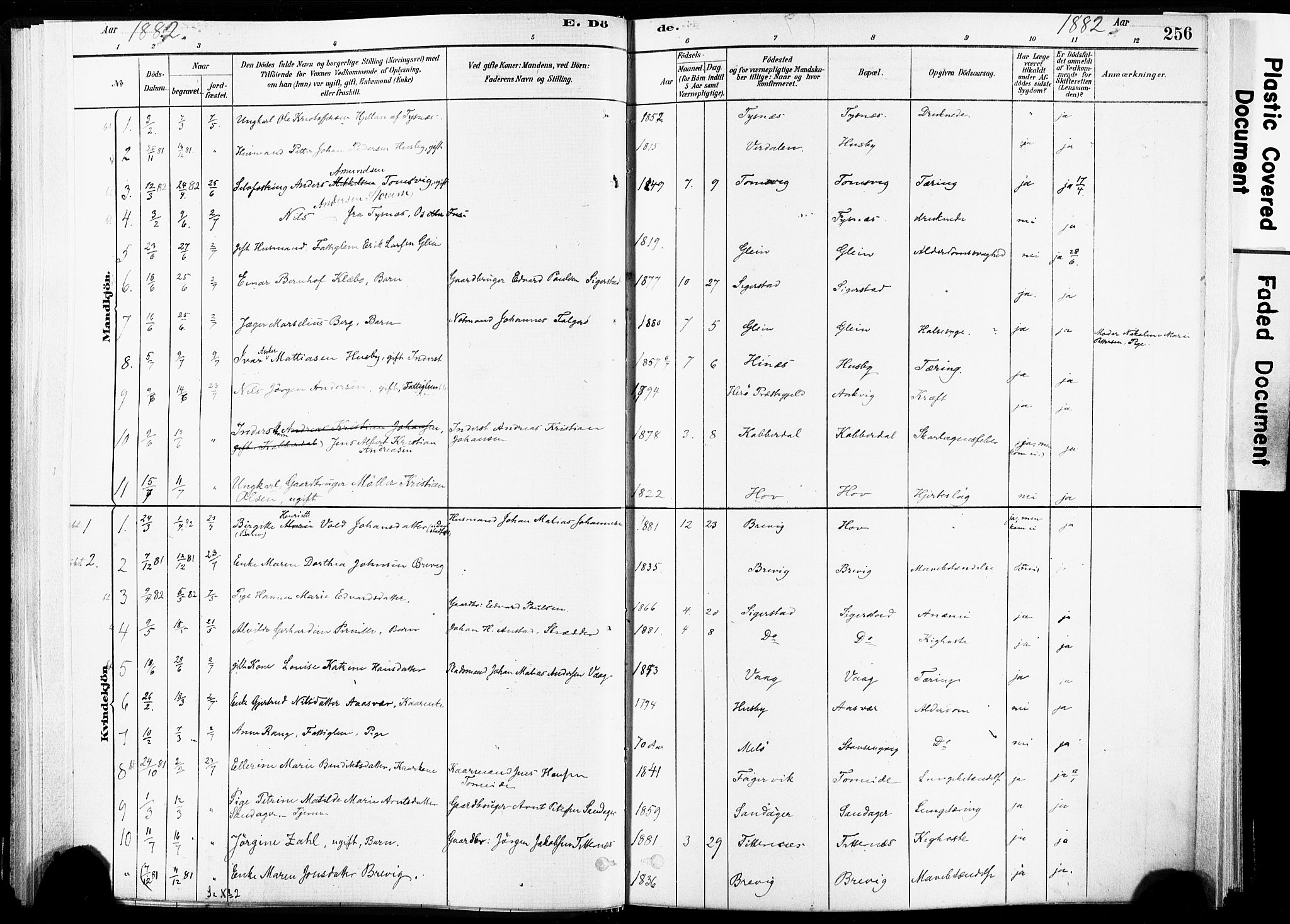 Ministerialprotokoller, klokkerbøker og fødselsregistre - Nordland, AV/SAT-A-1459/835/L0526: Parish register (official) no. 835A03II, 1881-1910, p. 256