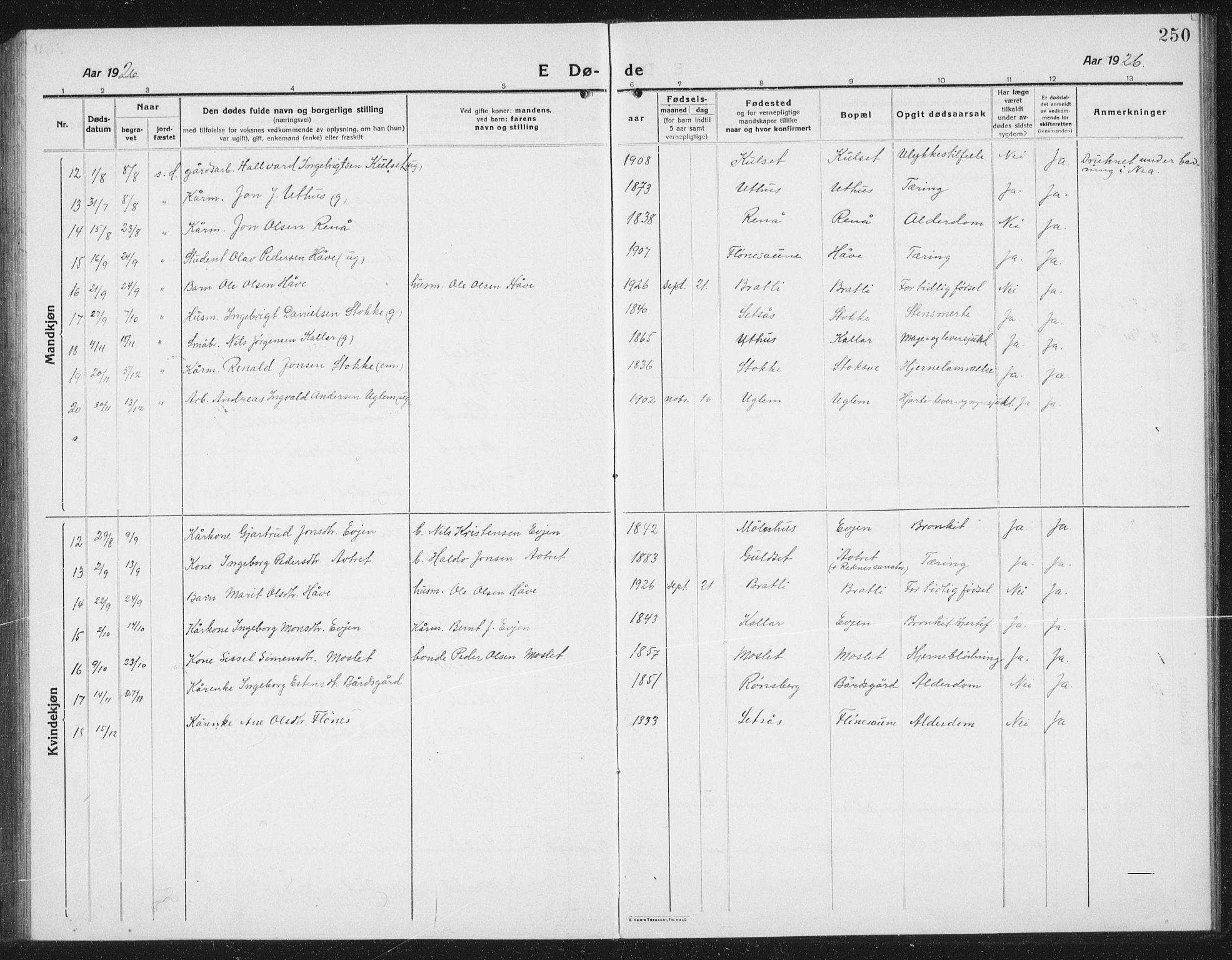 Ministerialprotokoller, klokkerbøker og fødselsregistre - Sør-Trøndelag, SAT/A-1456/695/L1158: Parish register (copy) no. 695C09, 1913-1940, p. 250