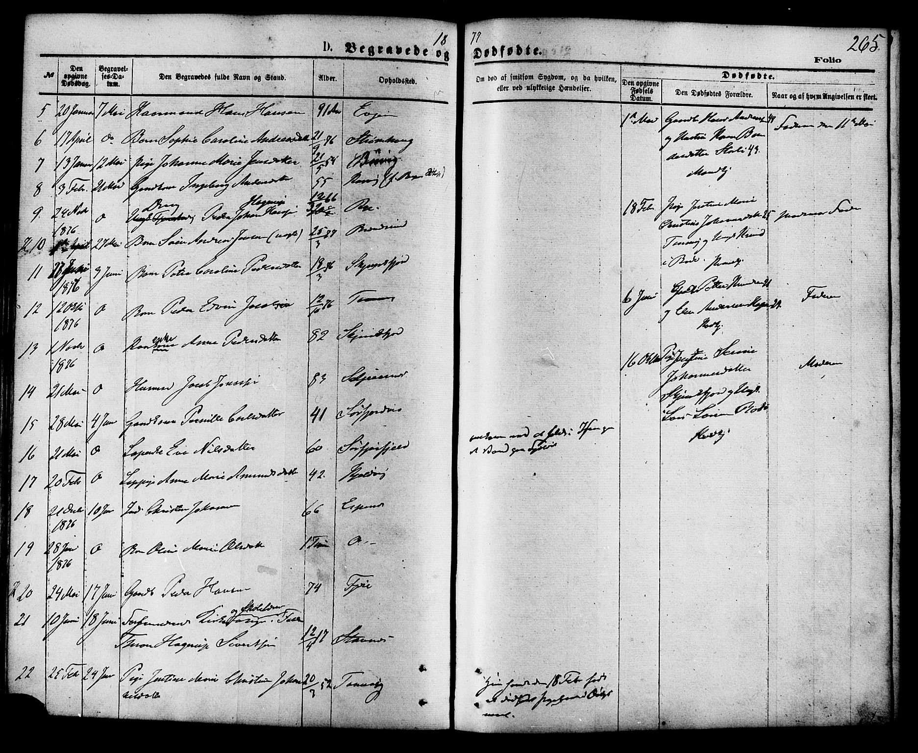 Ministerialprotokoller, klokkerbøker og fødselsregistre - Nordland, AV/SAT-A-1459/853/L0771: Parish register (official) no. 853A10, 1870-1881, p. 265