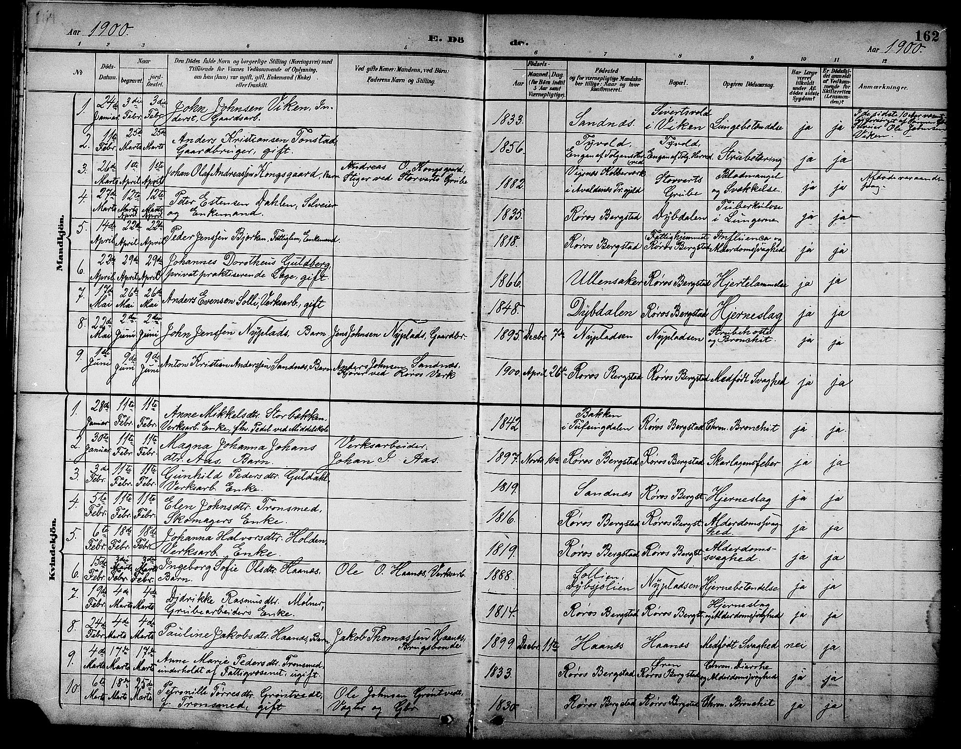 Ministerialprotokoller, klokkerbøker og fødselsregistre - Sør-Trøndelag, SAT/A-1456/681/L0941: Parish register (copy) no. 681C05, 1896-1905, p. 162