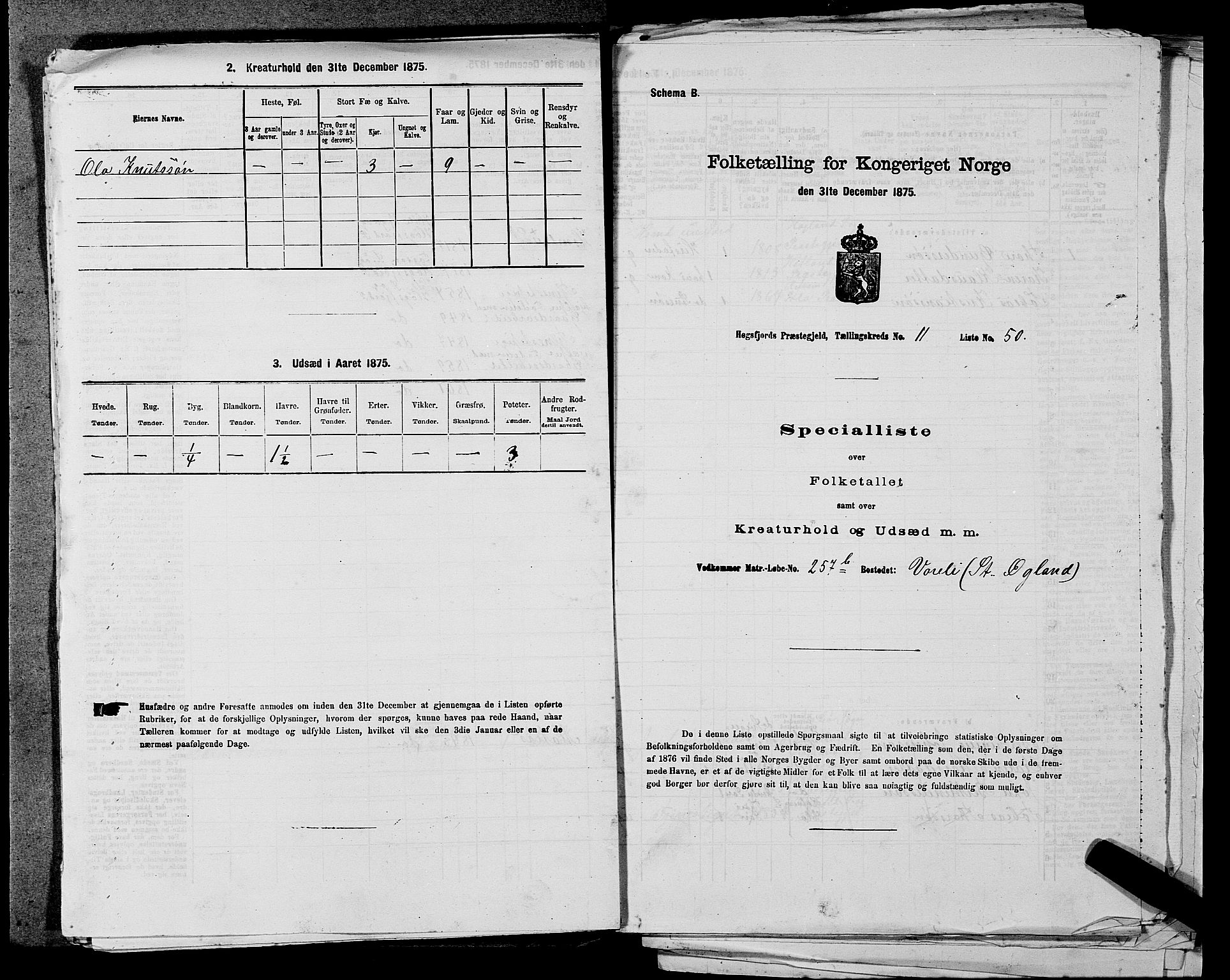 SAST, 1875 census for 1128P Høgsfjord, 1875, p. 995