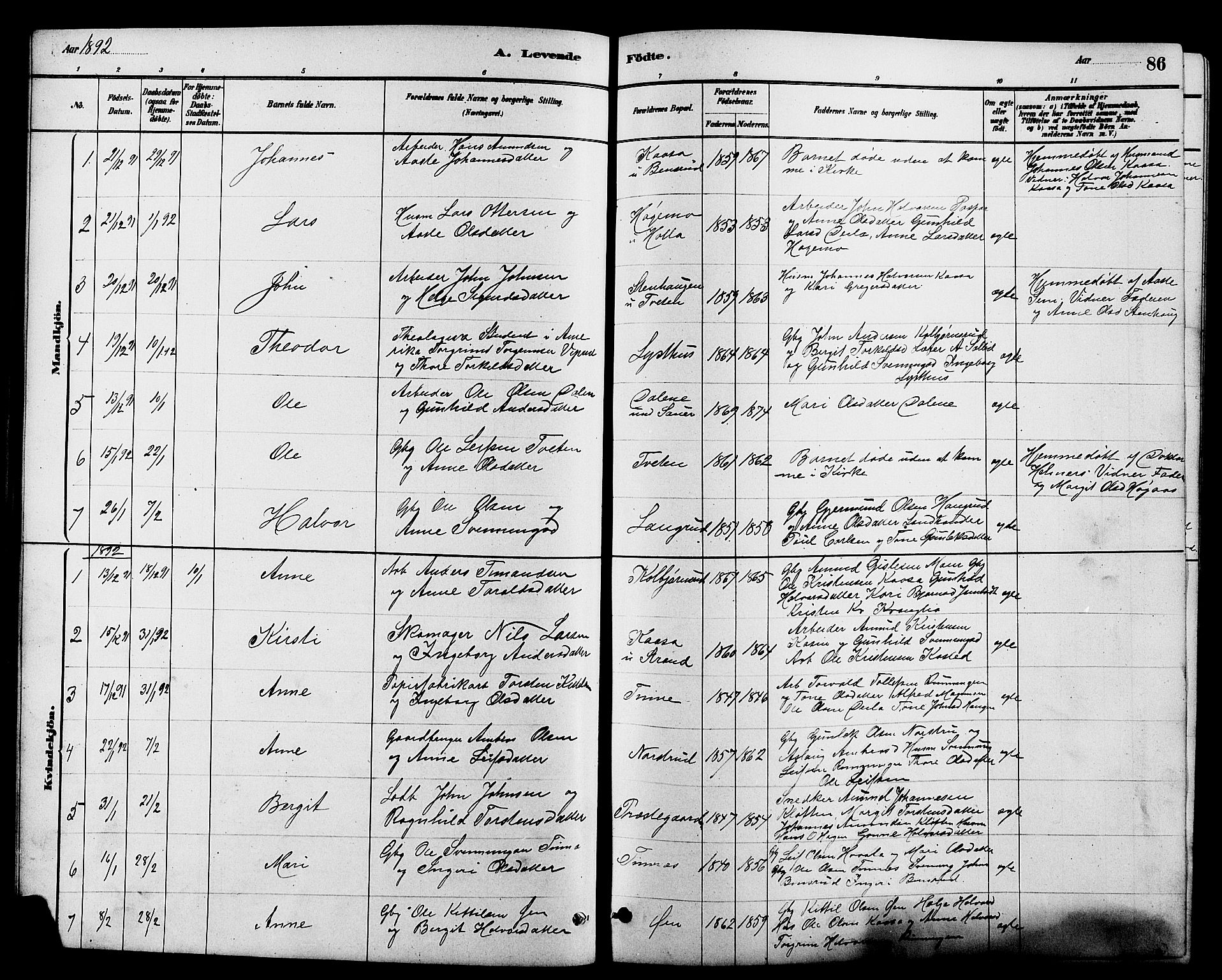 Heddal kirkebøker, AV/SAKO-A-268/G/Ga/L0002: Parish register (copy) no. I 2, 1879-1908, p. 86