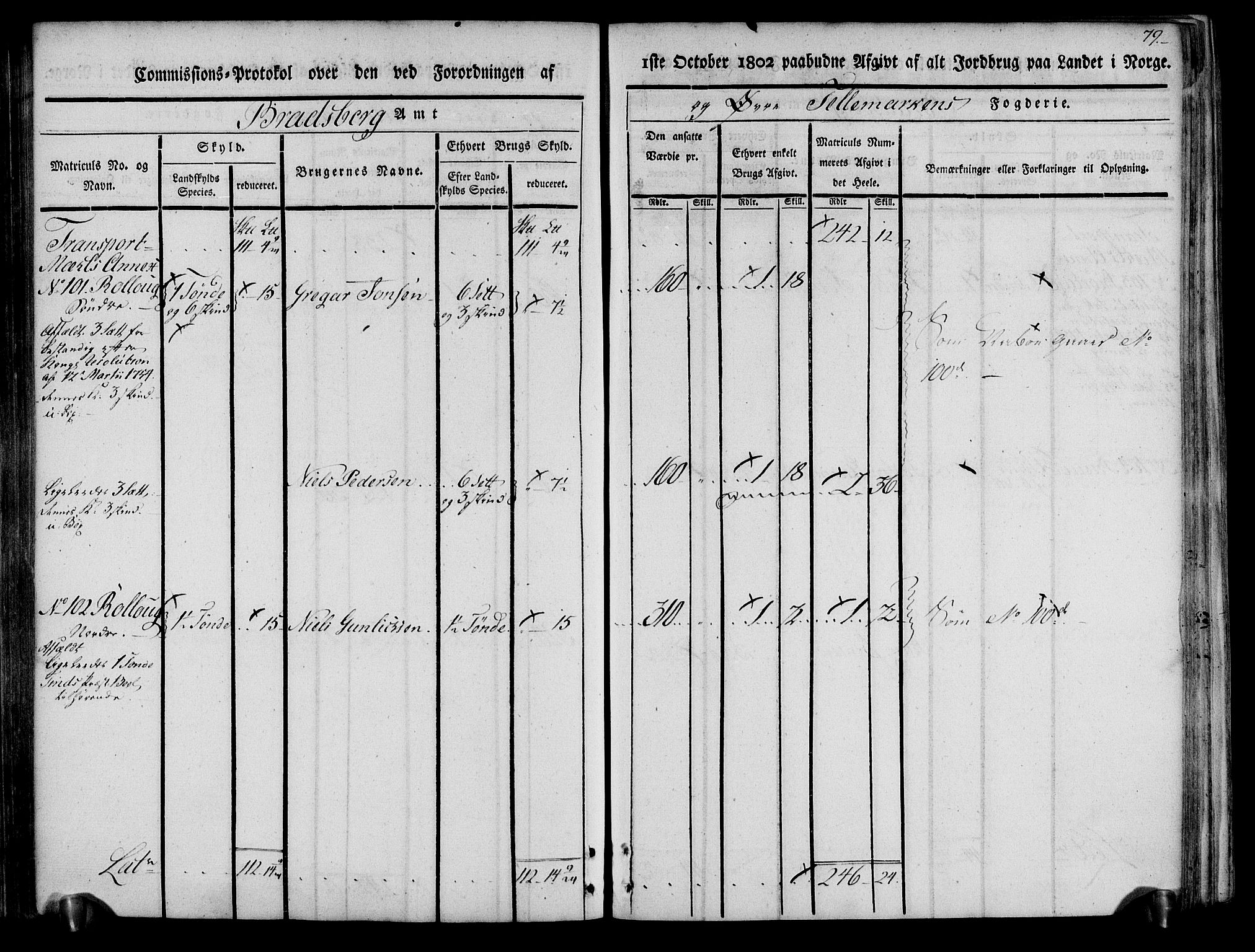 Rentekammeret inntil 1814, Realistisk ordnet avdeling, AV/RA-EA-4070/N/Ne/Nea/L0074: Øvre Telemarken fogderi. Kommisjonsprotokoll for fogderiets østre del - Tinn, Hjartdal og Seljord prestegjeld., 1803, p. 79