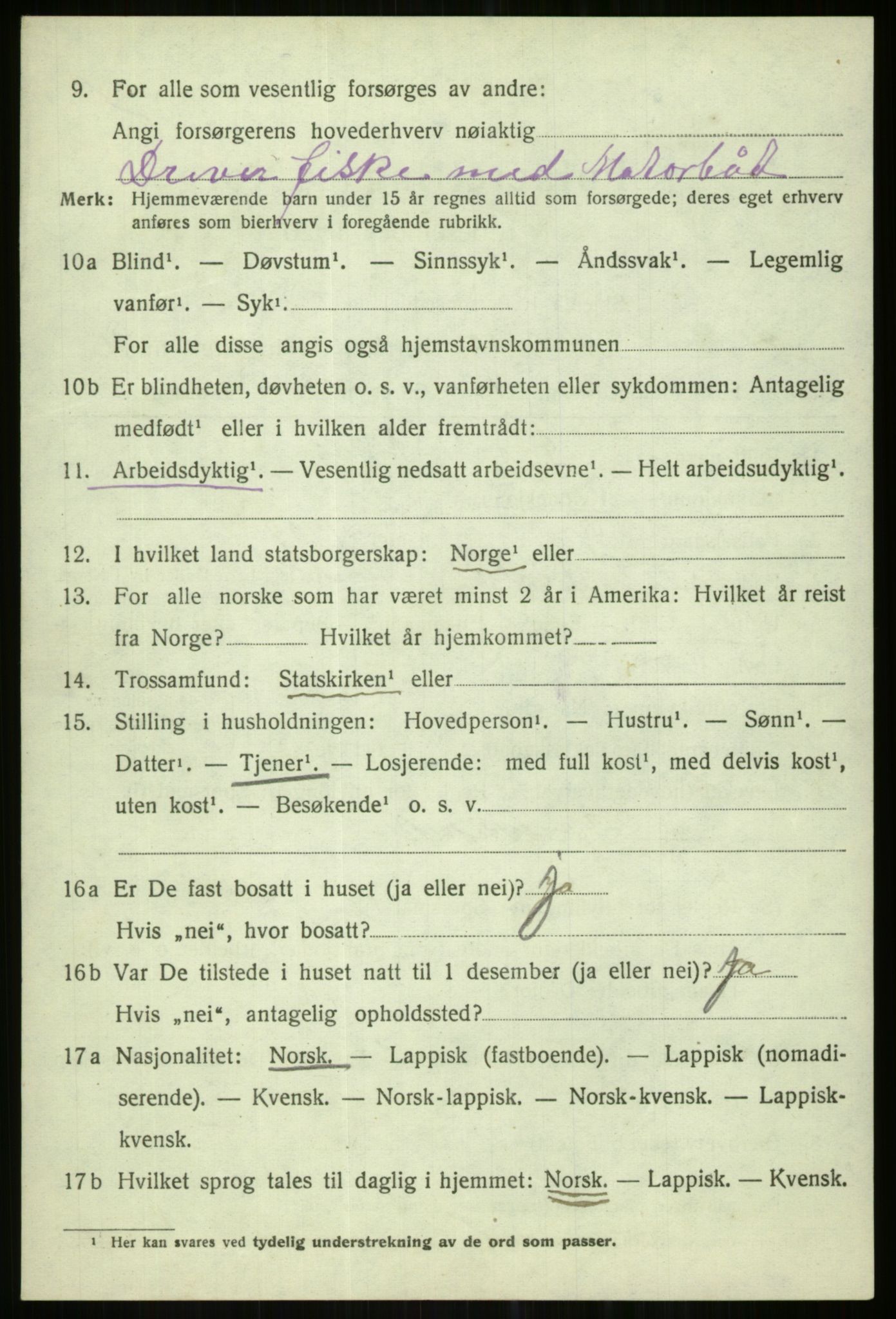 SATØ, 1920 census for Karlsøy, 1920, p. 3995