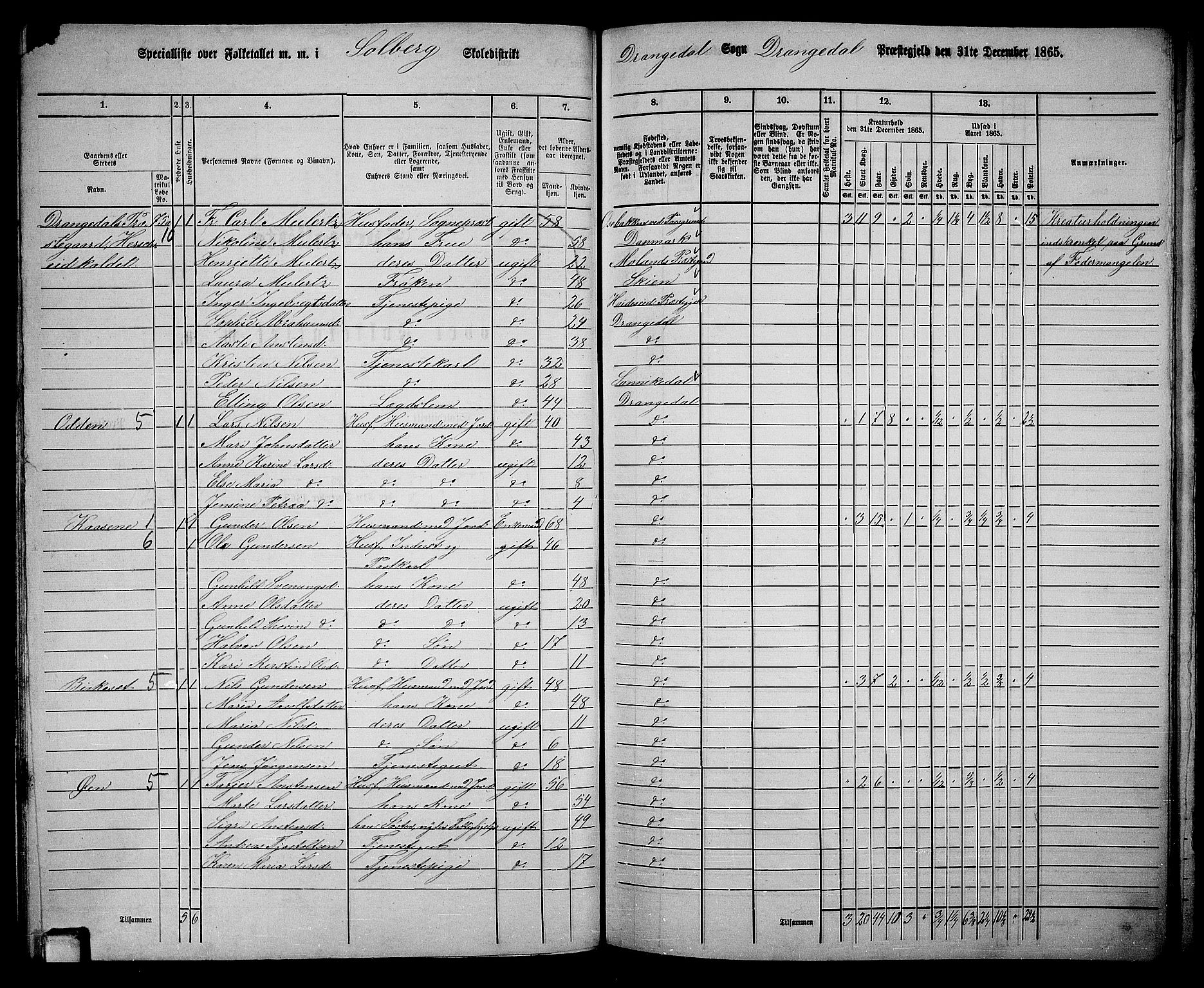 RA, 1865 census for Drangedal, 1865, p. 62