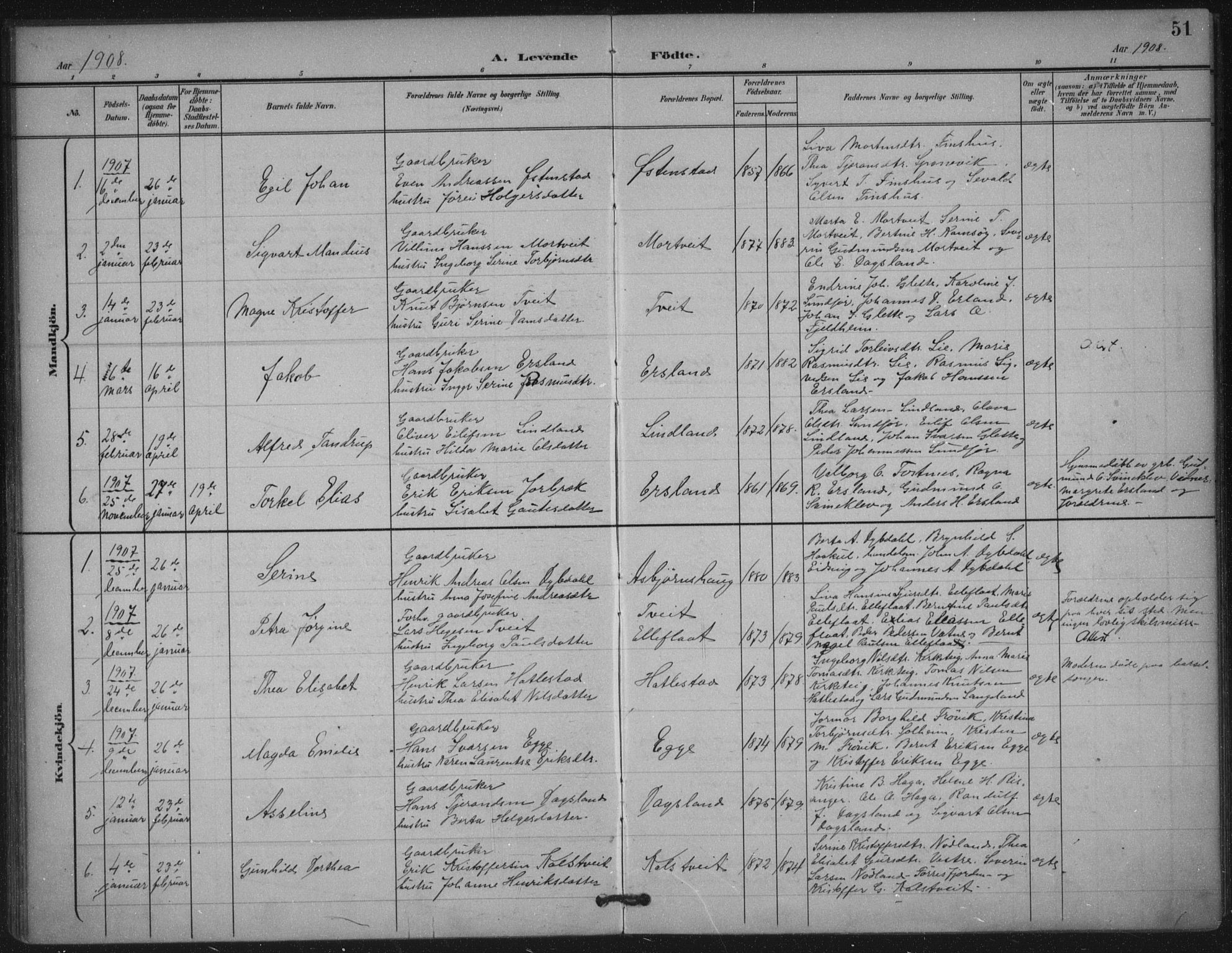 Skjold sokneprestkontor, AV/SAST-A-101847/H/Ha/Haa/L0011: Parish register (official) no. A 11, 1897-1914, p. 51