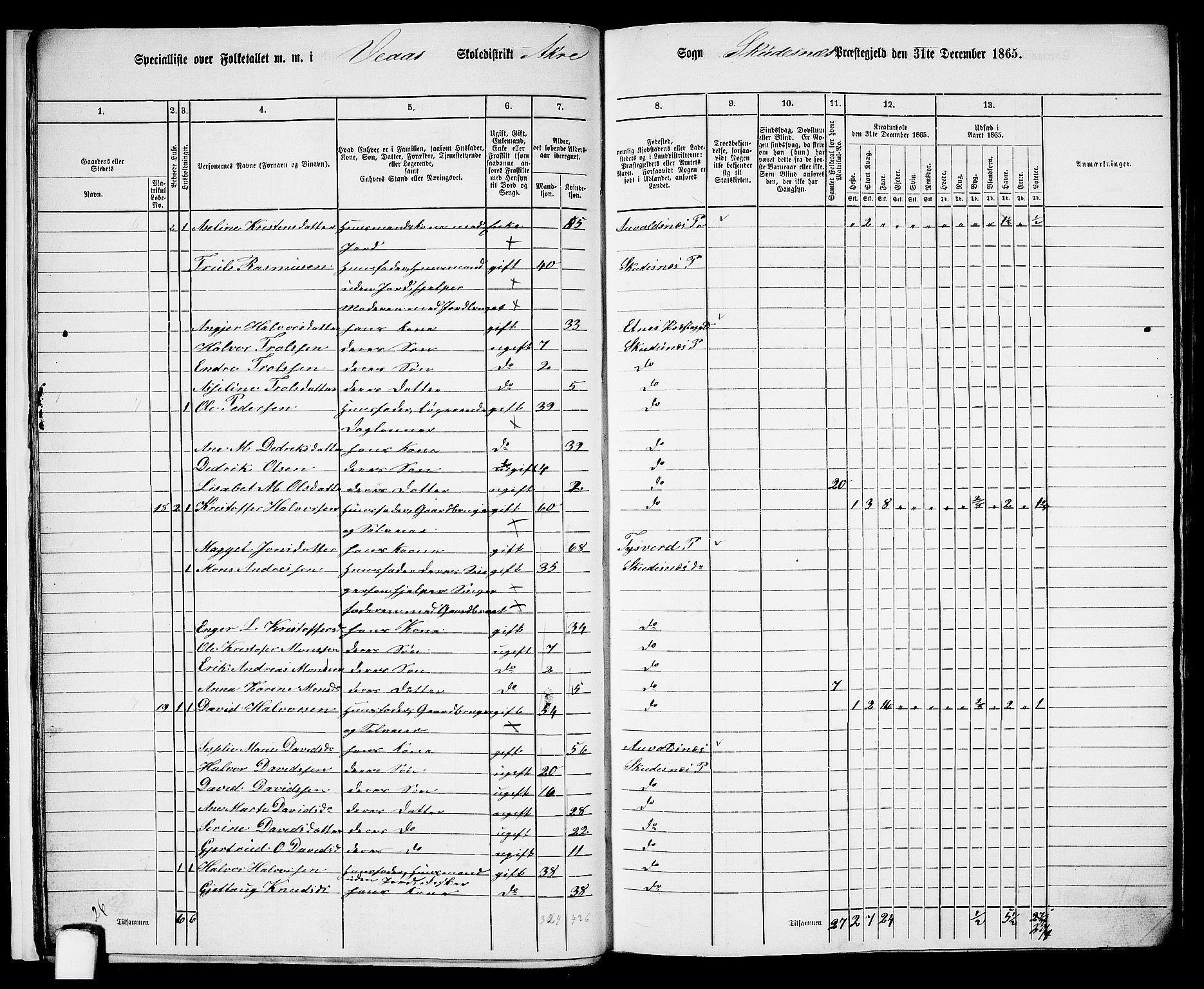 RA, 1865 census for Skudenes, 1865, p. 19