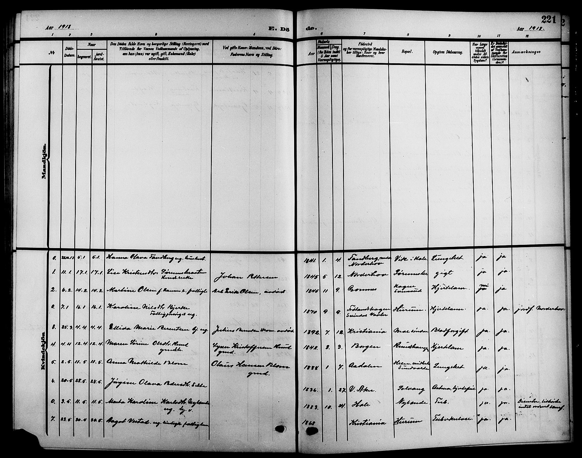 Hole kirkebøker, SAKO/A-228/G/Ga/L0004: Parish register (copy) no. I 4, 1905-1924, p. 221