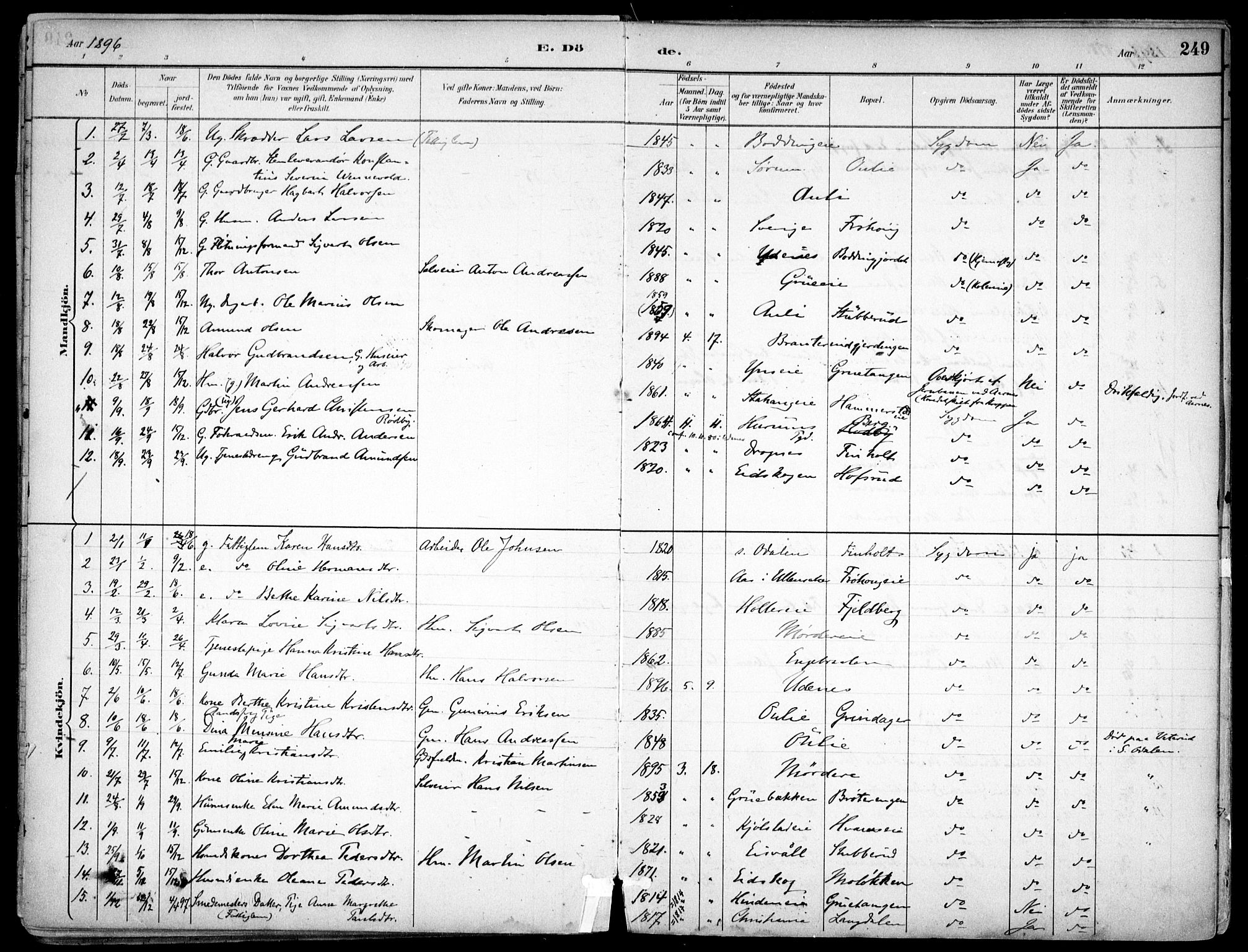 Nes prestekontor Kirkebøker, SAO/A-10410/F/Fc/L0002: Parish register (official) no. IIi 2, 1882-1916, p. 249