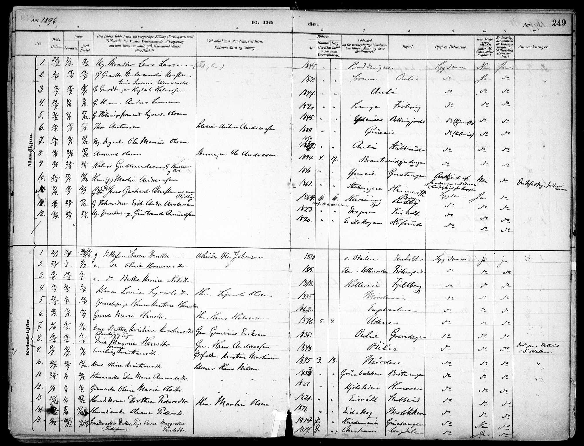 Nes prestekontor Kirkebøker, AV/SAO-A-10410/F/Fc/L0002: Parish register (official) no. IIi 2, 1882-1916, p. 249