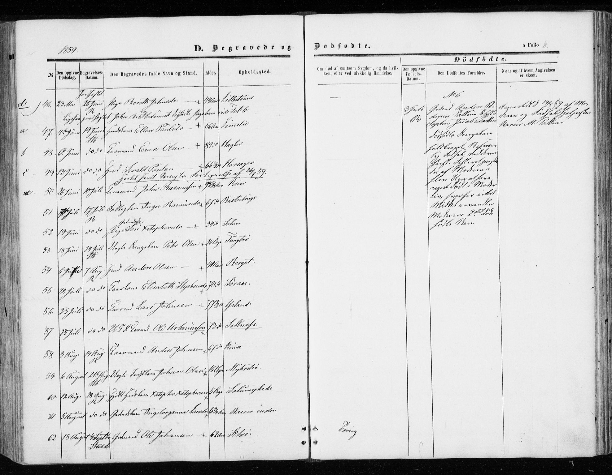 Ministerialprotokoller, klokkerbøker og fødselsregistre - Sør-Trøndelag, AV/SAT-A-1456/646/L0612: Parish register (official) no. 646A10, 1858-1869, p. 8