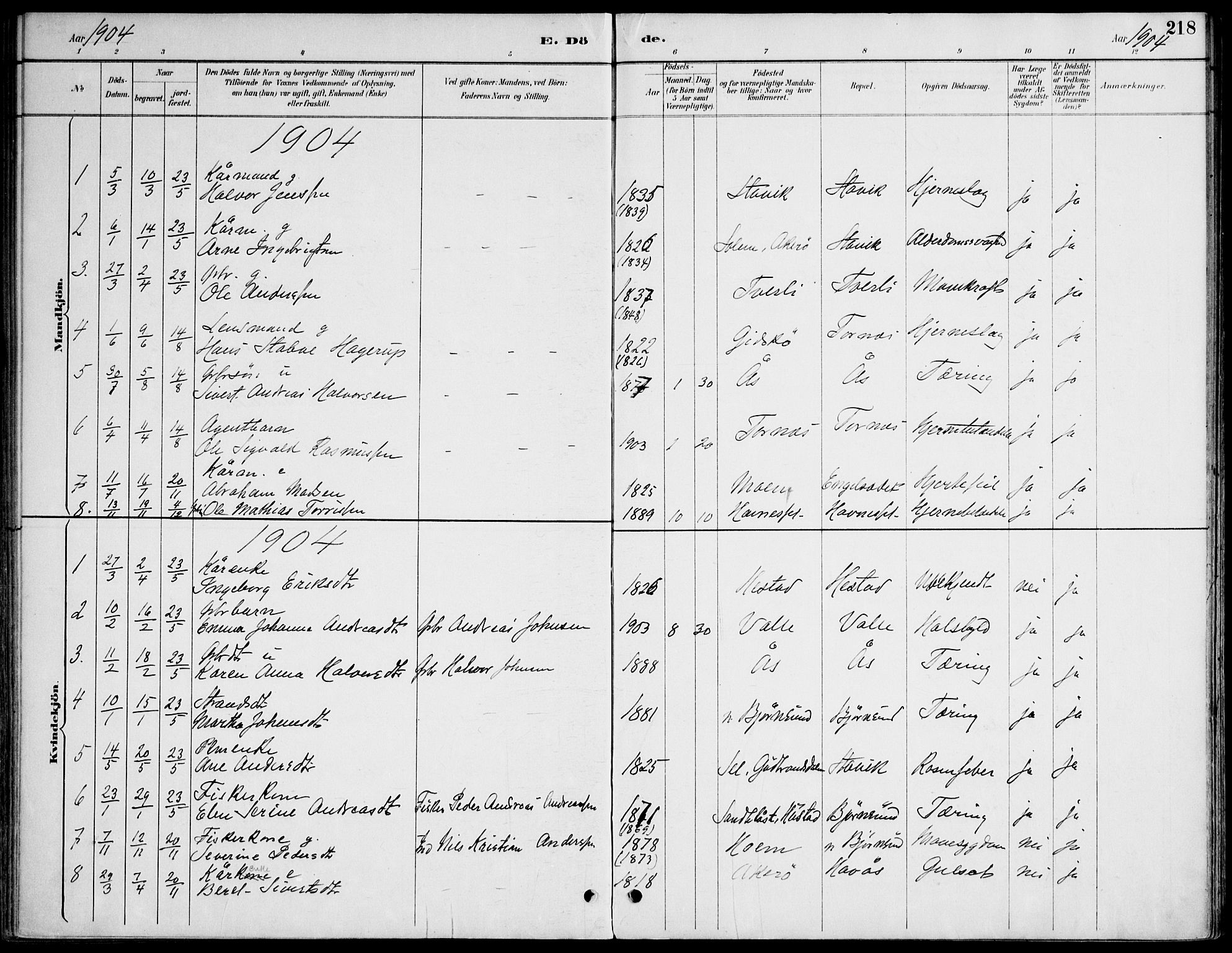 Ministerialprotokoller, klokkerbøker og fødselsregistre - Møre og Romsdal, AV/SAT-A-1454/565/L0750: Parish register (official) no. 565A04, 1887-1905, p. 218