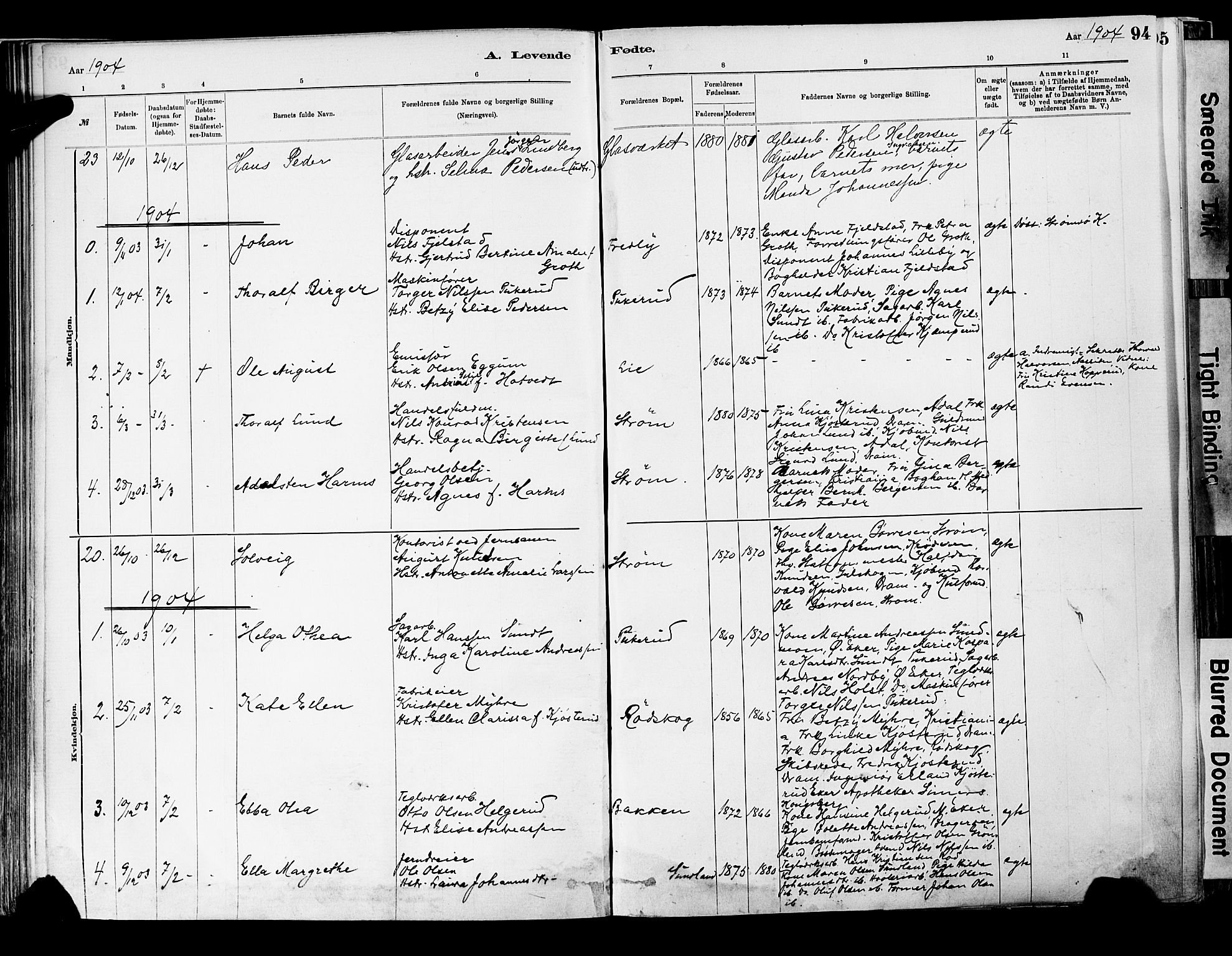 Strømsgodset kirkebøker, AV/SAKO-A-324/F/Fa/L0001: Parish register (official) no. 1, 1885-1909, p. 94