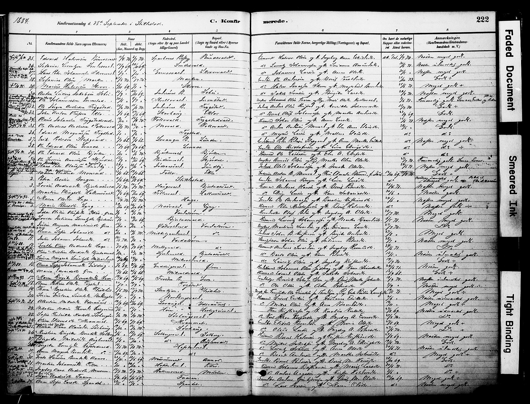 Ministerialprotokoller, klokkerbøker og fødselsregistre - Nord-Trøndelag, AV/SAT-A-1458/723/L0244: Parish register (official) no. 723A13, 1881-1899, p. 222