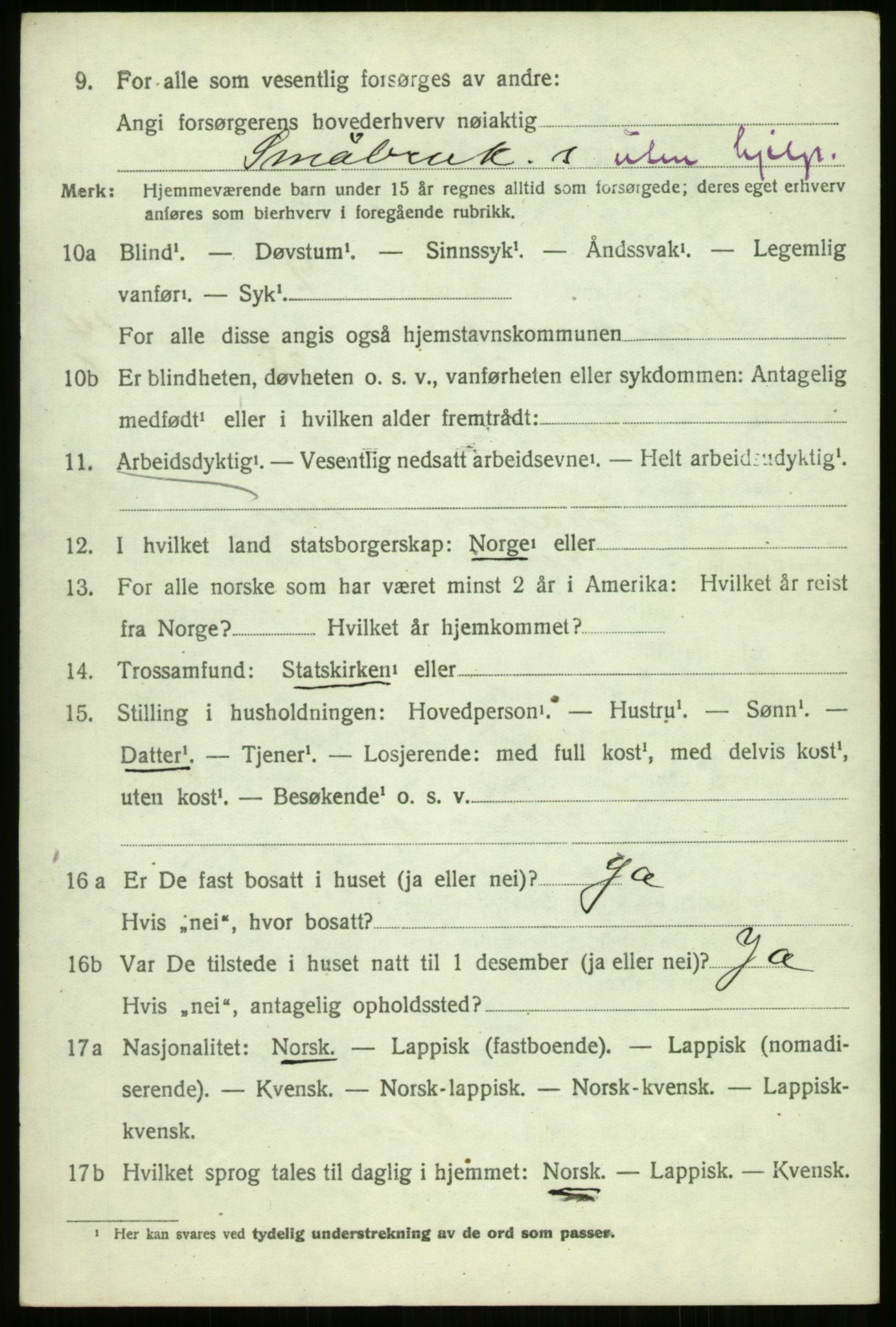 SATØ, 1920 census for Trondenes, 1920, p. 10300