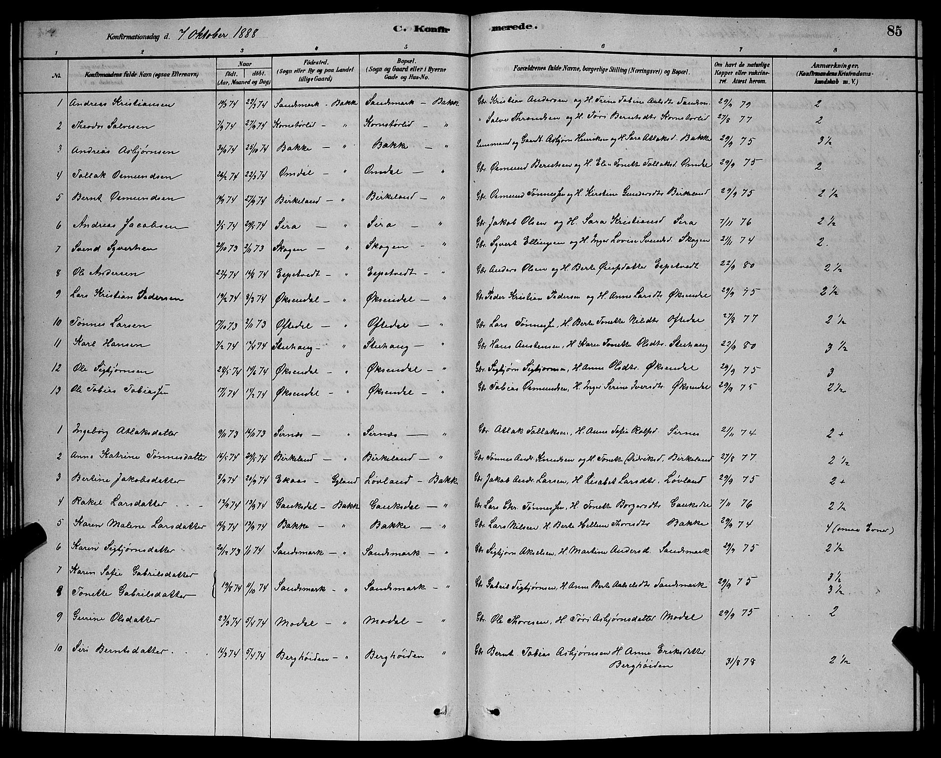 Bakke sokneprestkontor, SAK/1111-0002/F/Fb/Fba/L0002: Parish register (copy) no. B 2, 1879-1893, p. 85