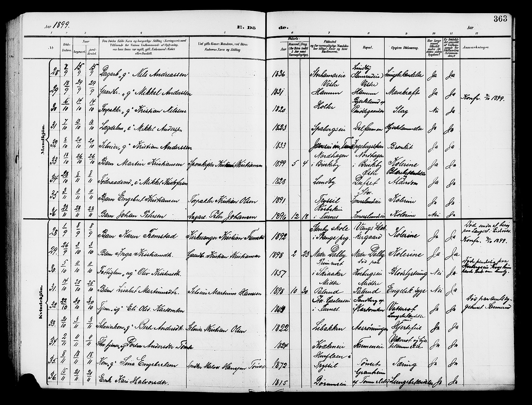 Vang prestekontor, Hedmark, AV/SAH-PREST-008/H/Ha/Hab/L0014: Parish register (copy) no. 14, 1896-1914, p. 363