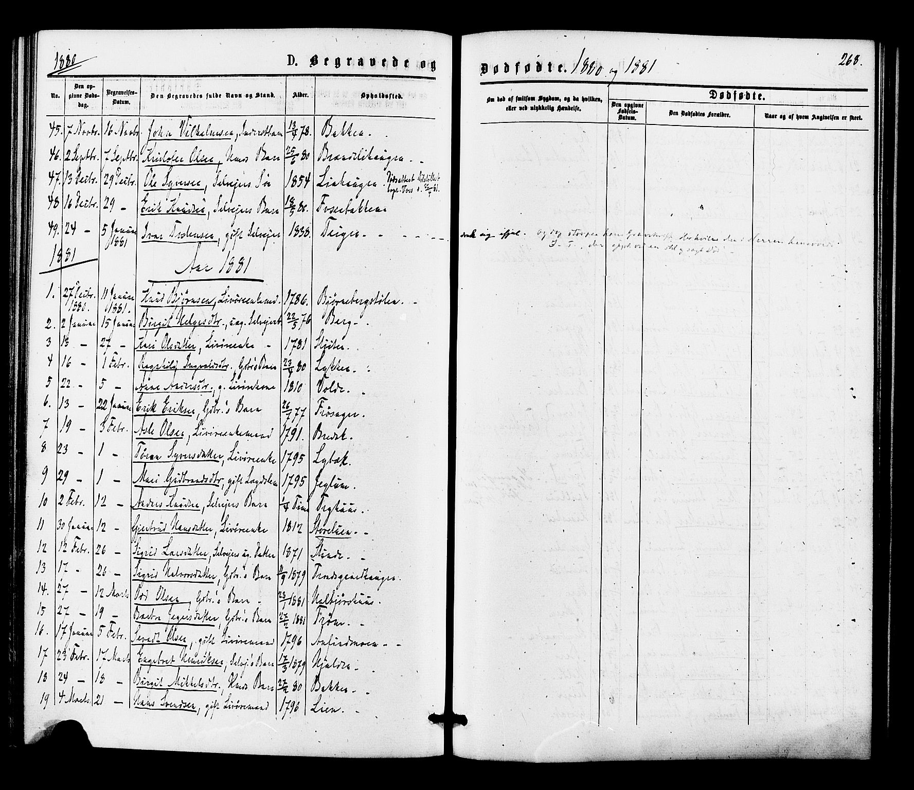 Gol kirkebøker, SAKO/A-226/F/Fa/L0004: Parish register (official) no. I 4, 1876-1886, p. 268