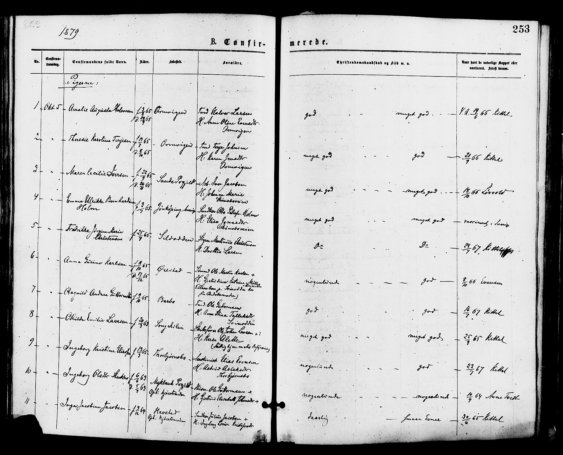 Barbu sokneprestkontor, AV/SAK-1111-0003/F/Fa/L0001: Parish register (official) no. A 1 /1, 1878-1883, p. 253