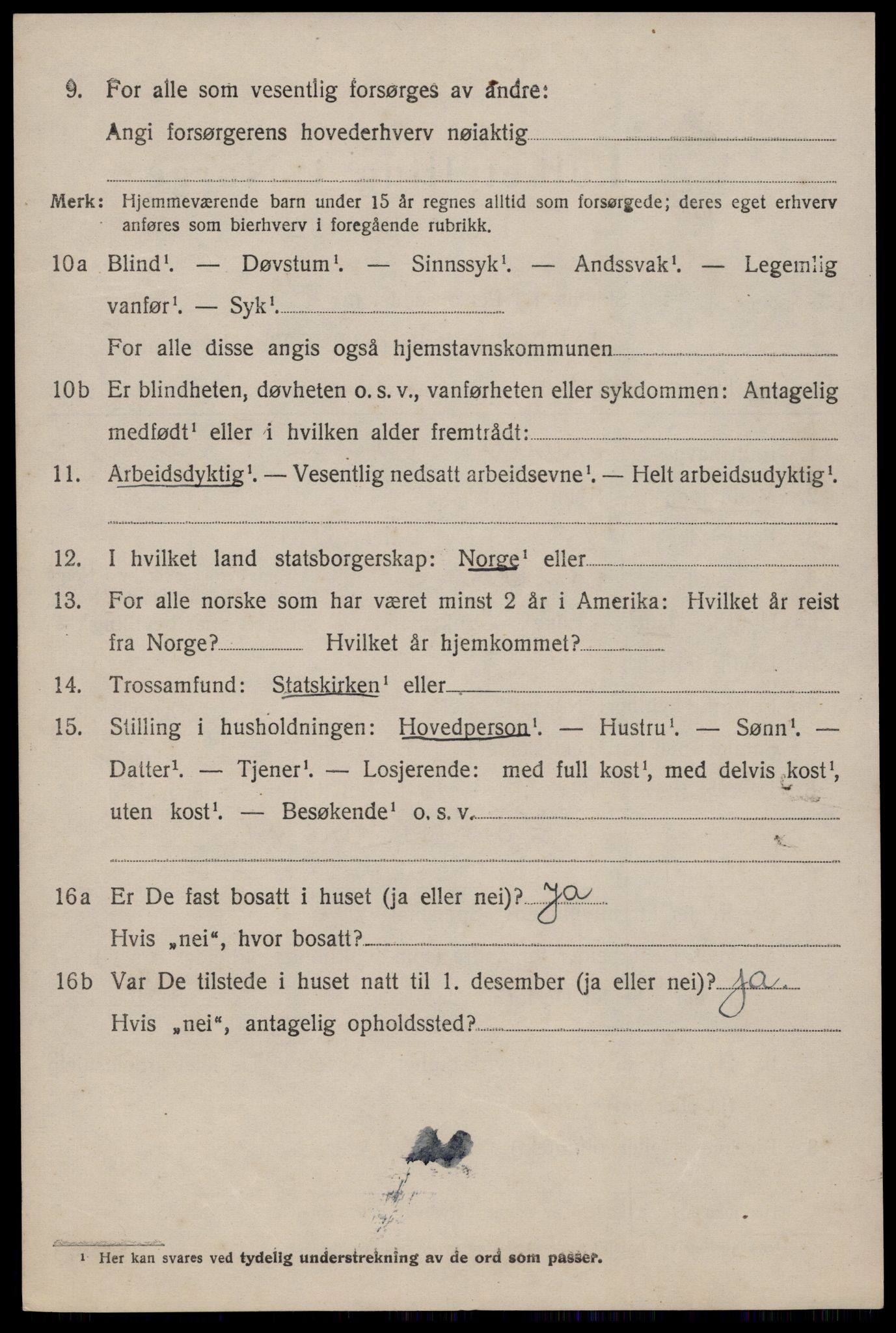 SAKO, 1920 census for Nissedal, 1920, p. 2052
