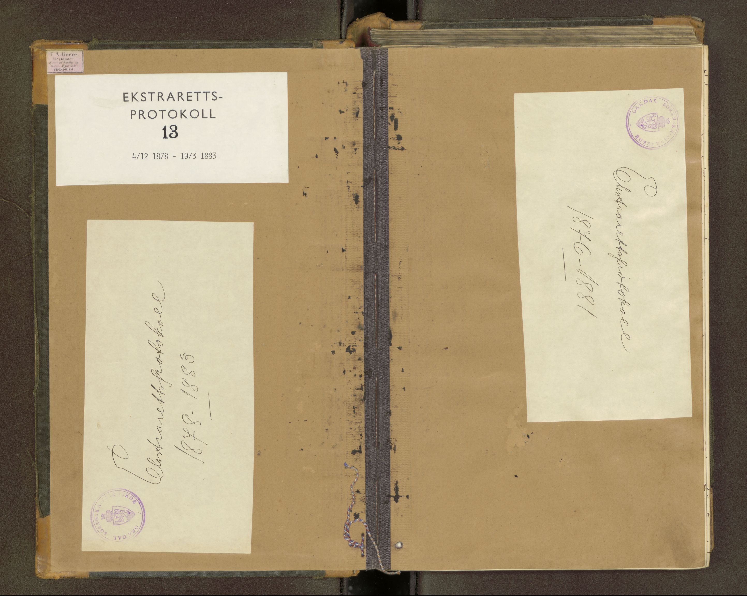 Orkdal sorenskriveri, SAT/A-4169/1/1/1B/L0013: Ekstrarettsprotokoll, 1878-1883