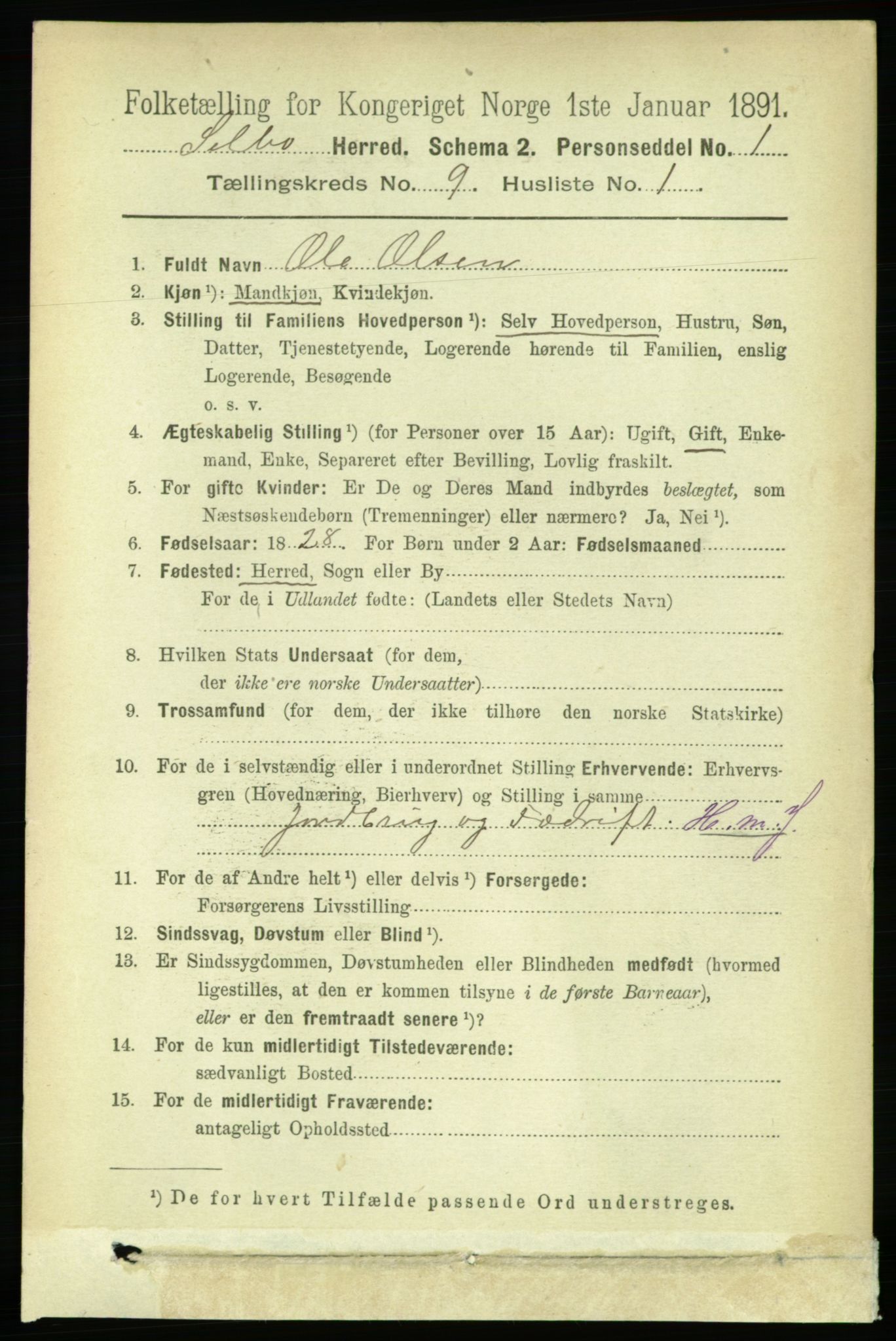 RA, 1891 census for 1664 Selbu, 1891, p. 3349