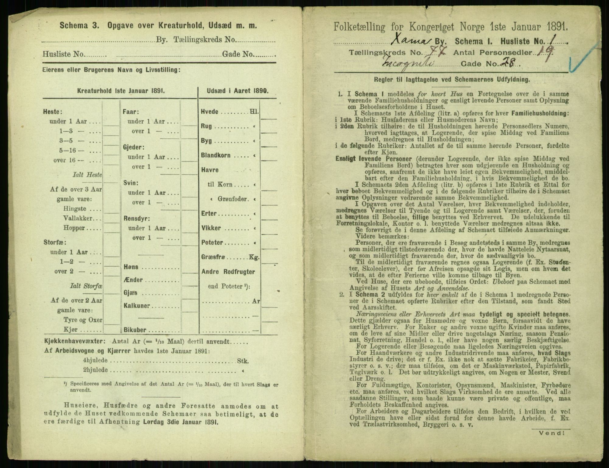 RA, 1891 census for 0301 Kristiania, 1891, p. 40539