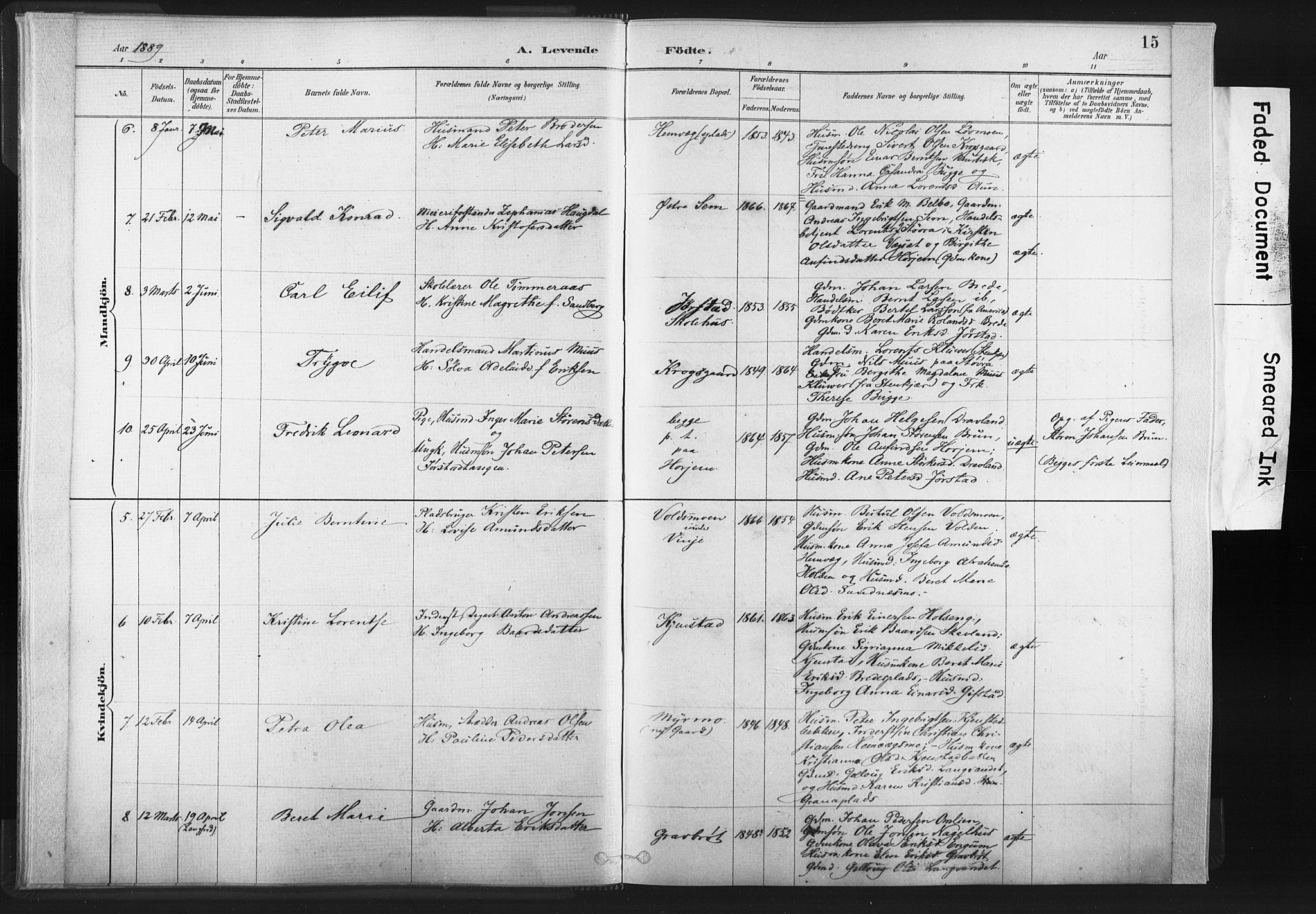 Ministerialprotokoller, klokkerbøker og fødselsregistre - Nord-Trøndelag, AV/SAT-A-1458/749/L0474: Parish register (official) no. 749A08, 1887-1903, p. 15