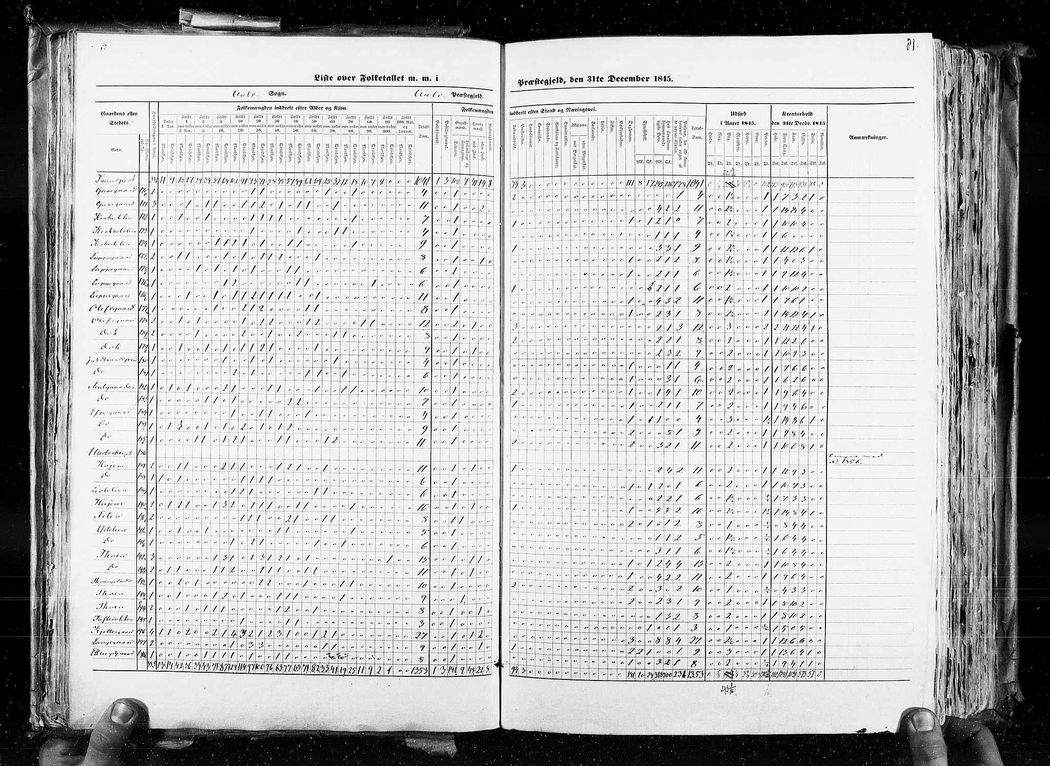 RA, Census 1845, vol. 4: Buskerud amt og Jarlsberg og Larvik amt, 1845, p. 81