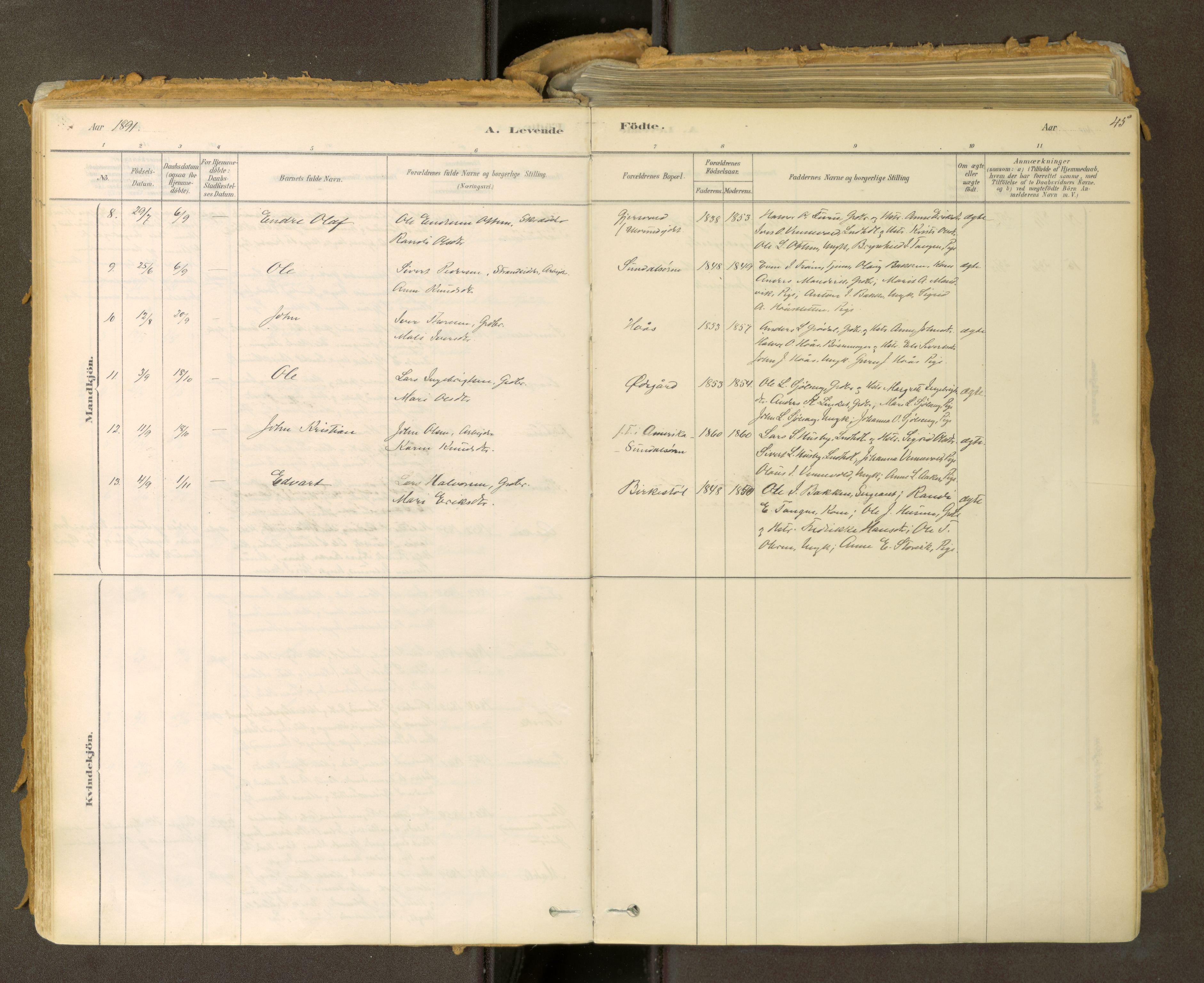 Sunndal sokneprestkontor, SAT/A-1085/1/I/I1/I1a: Parish register (official) no. 2, 1877-1914, p. 45