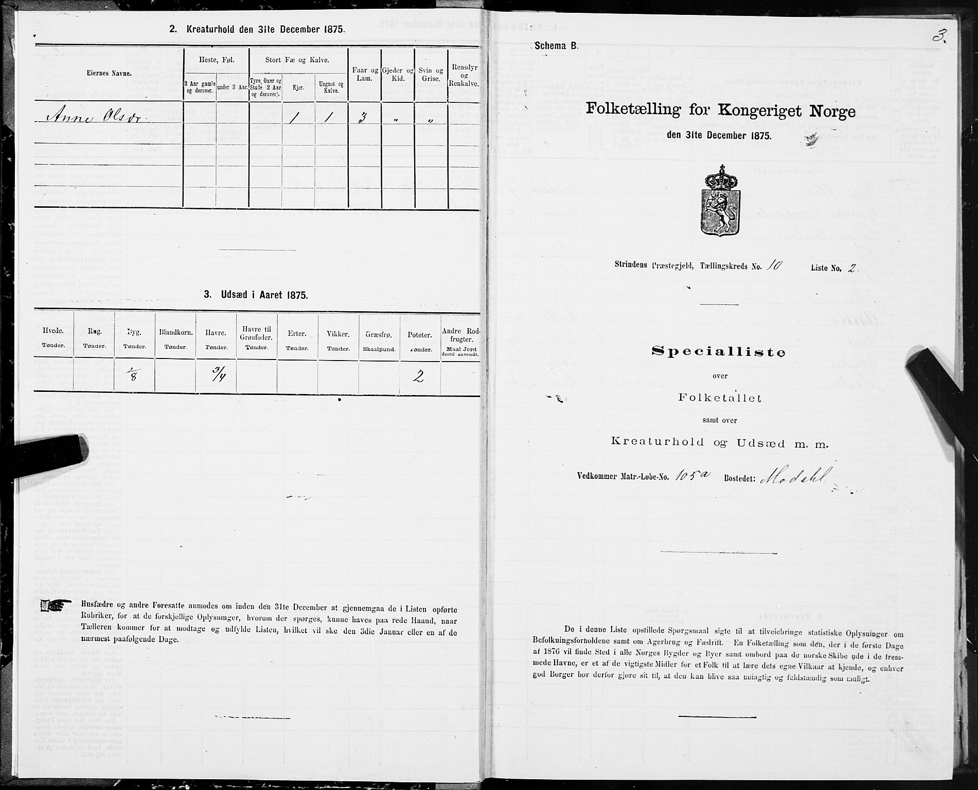 SAT, 1875 census for 1660P Strinda, 1875, p. 6003