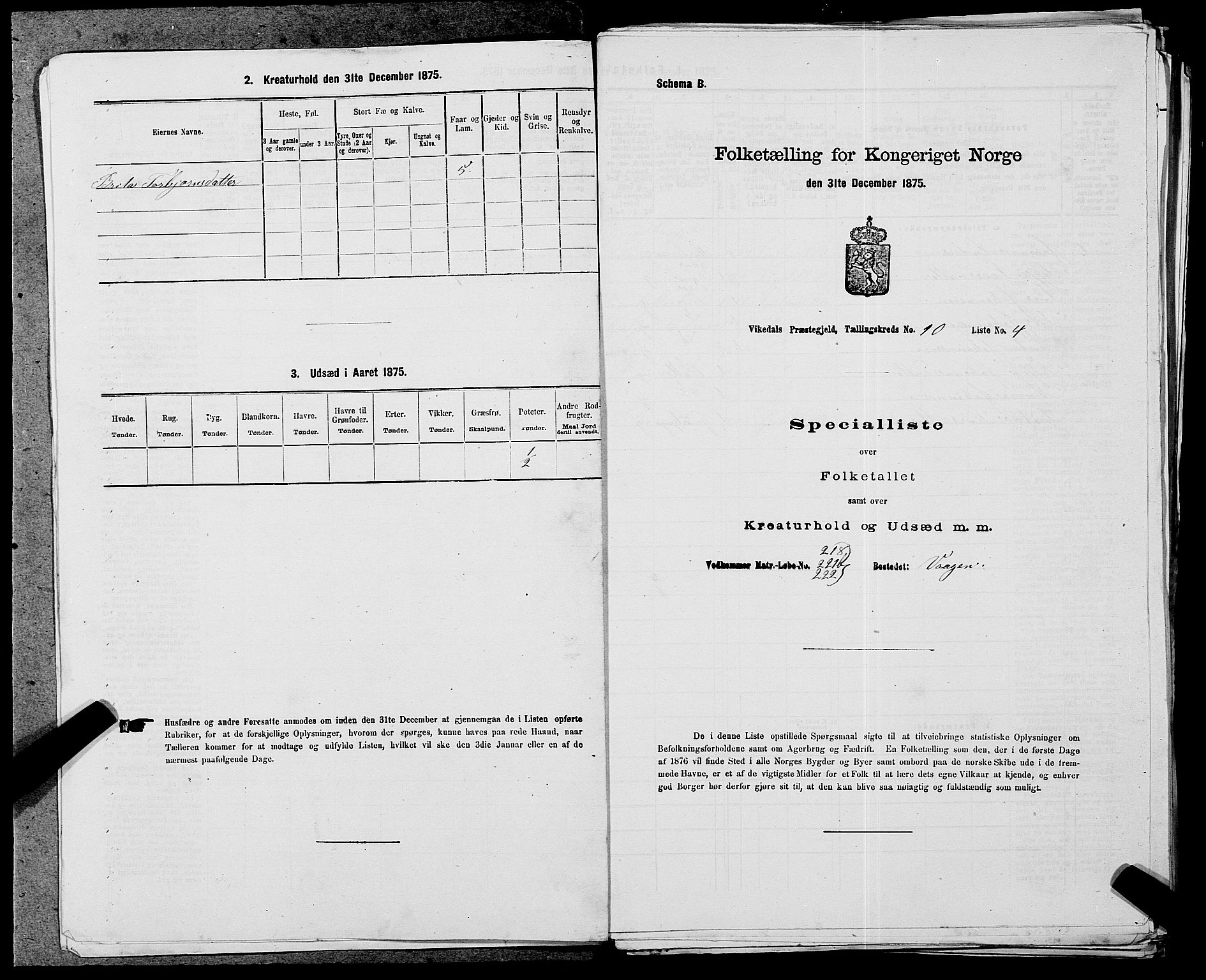 SAST, 1875 census for 1157P Vikedal, 1875, p. 1062