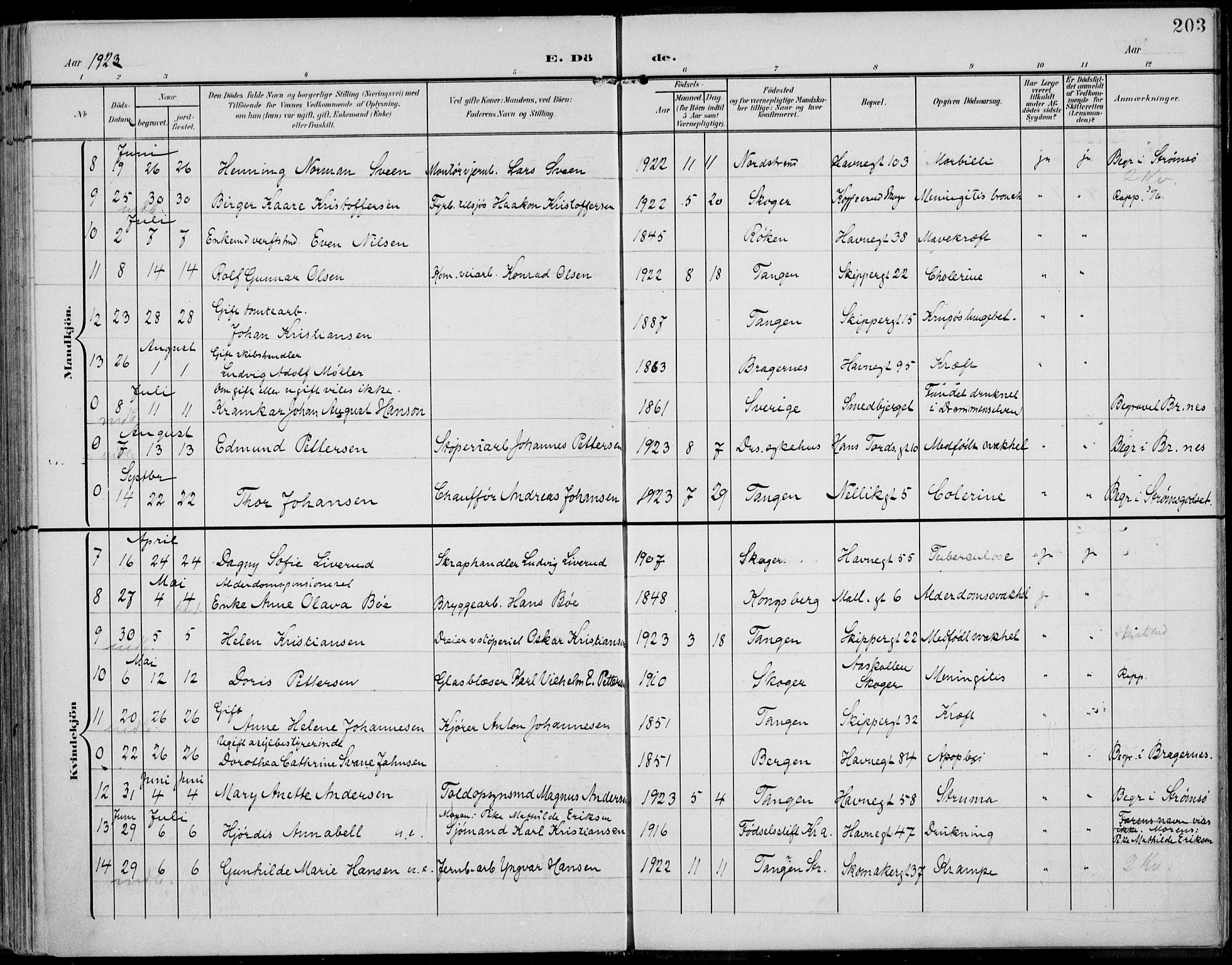 Strømsø kirkebøker, AV/SAKO-A-246/F/Fb/L0008: Parish register (official) no. II 8, 1902-1933, p. 203