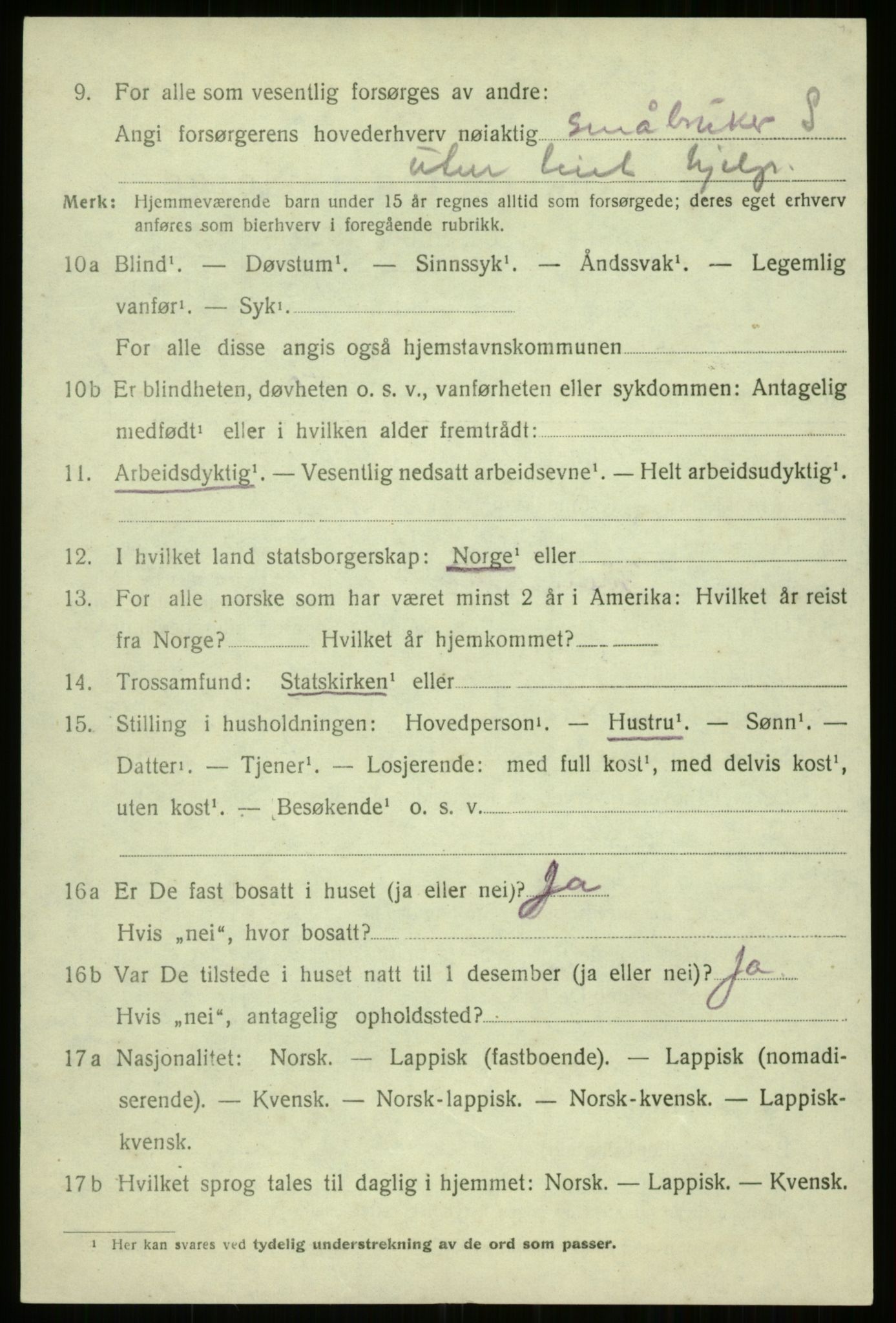 SATØ, 1920 census for Trondenes, 1920, p. 12240