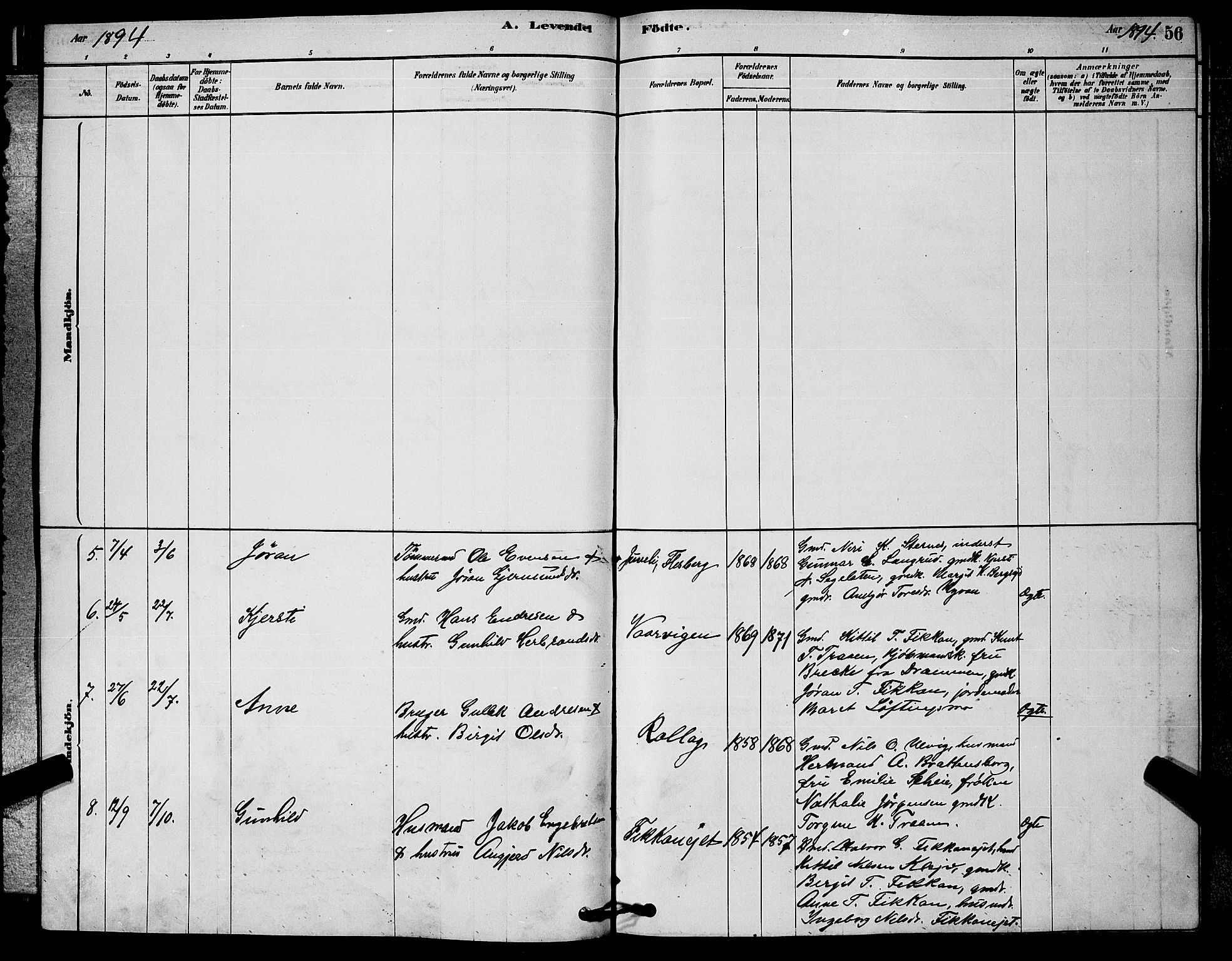 Rollag kirkebøker, AV/SAKO-A-240/G/Ga/L0004: Parish register (copy) no. I 4, 1878-1903, p. 56