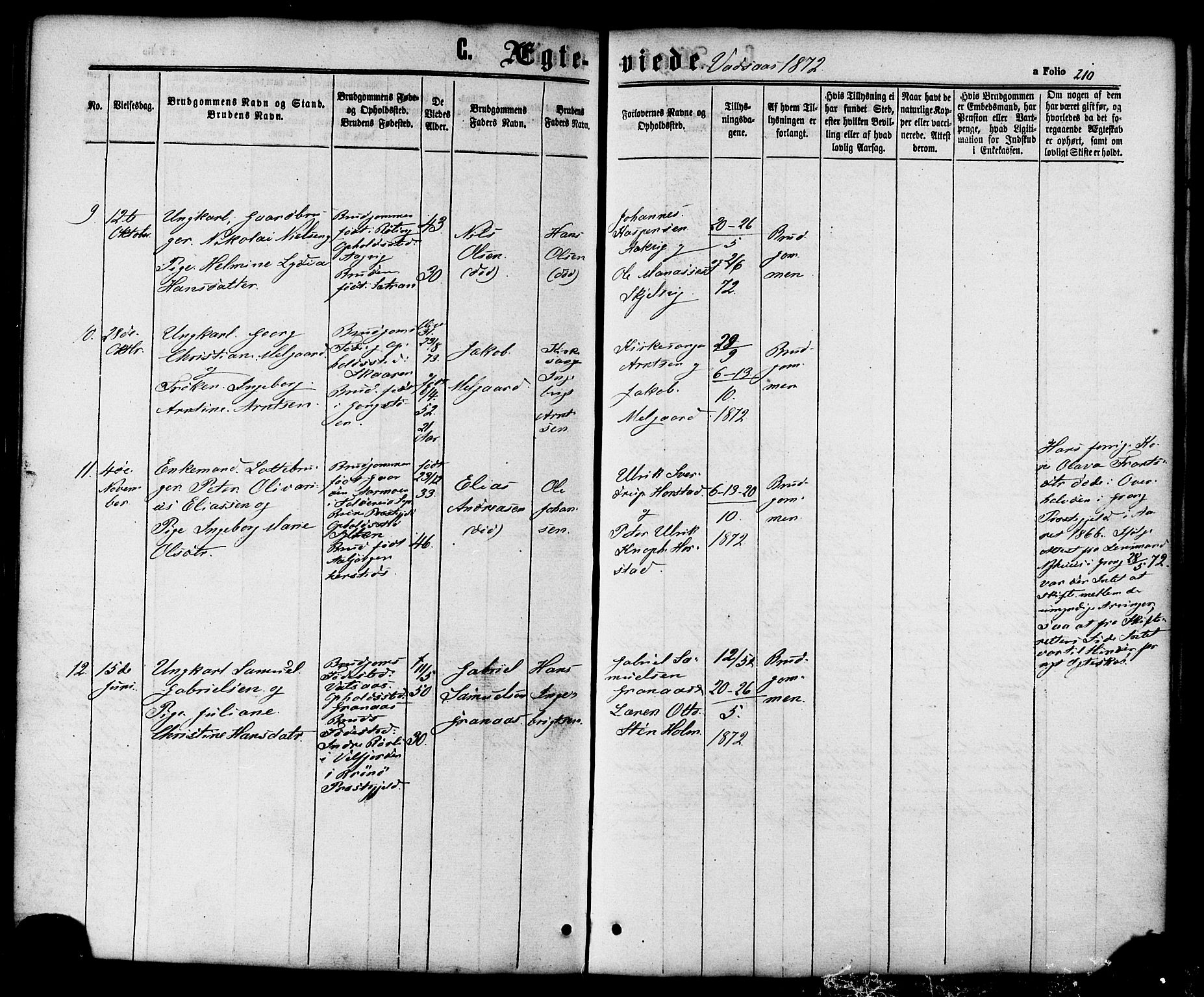 Ministerialprotokoller, klokkerbøker og fødselsregistre - Nordland, SAT/A-1459/810/L0146: Parish register (official) no. 810A08 /1, 1862-1874, p. 210