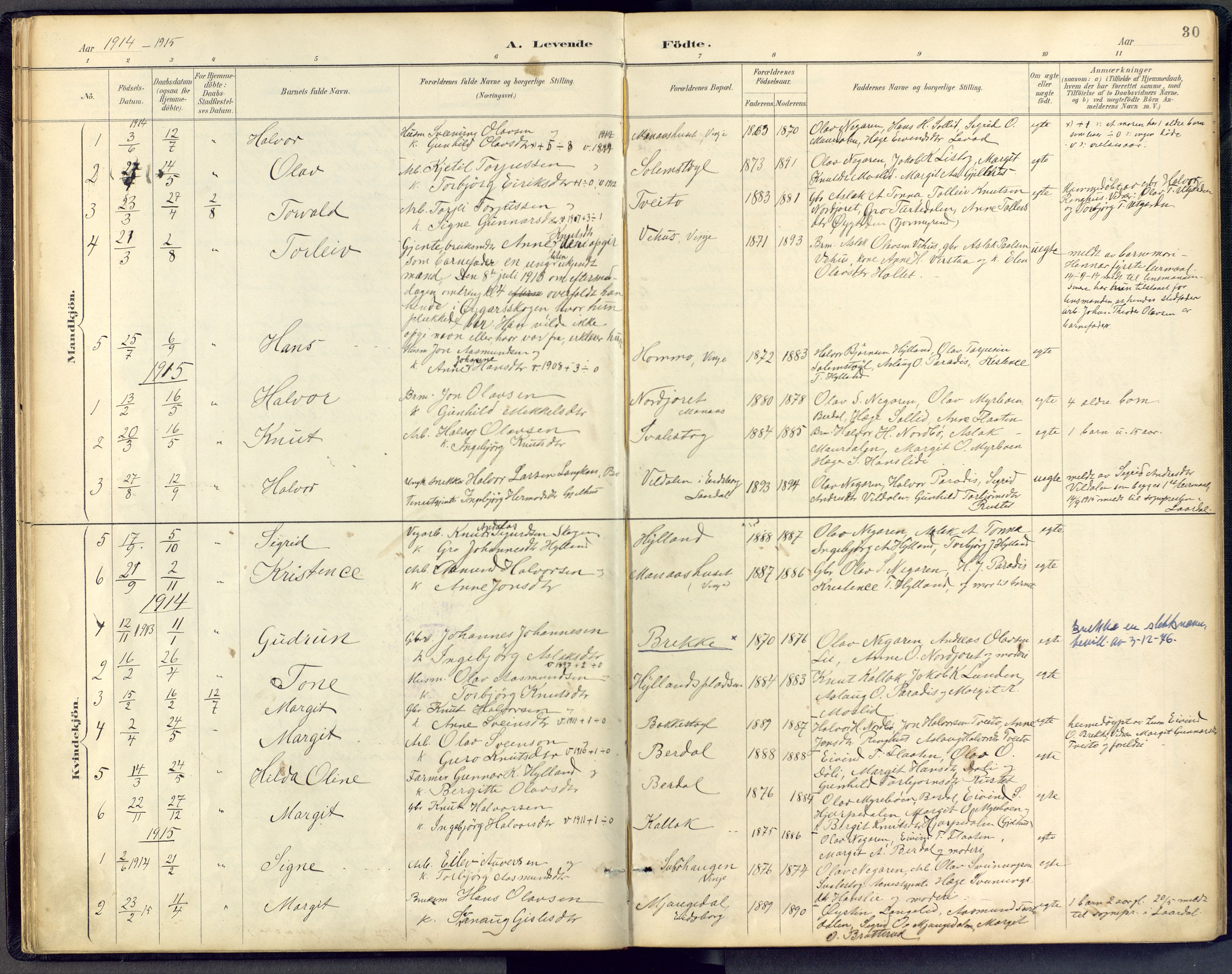Vinje kirkebøker, SAKO/A-312/F/Fb/L0002: Parish register (official) no. II 2, 1887-1925, p. 30