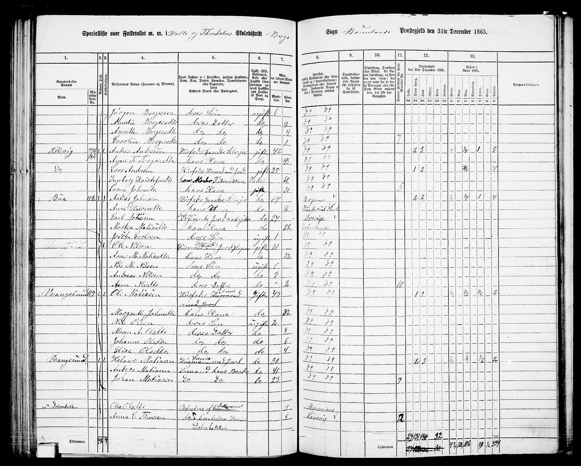 RA, 1865 census for Brunlanes, 1865, p. 113