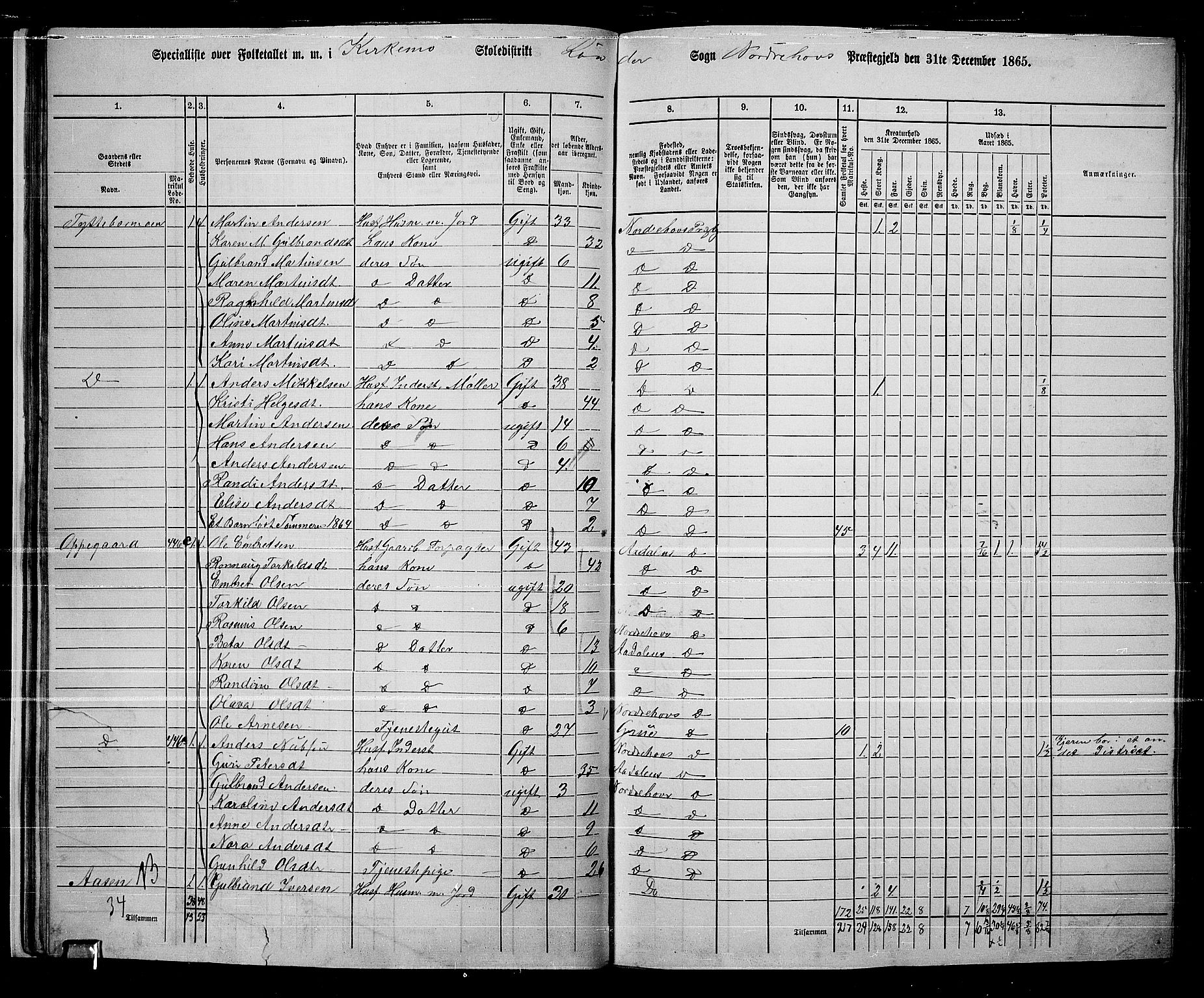 RA, 1865 census for Norderhov/Norderhov, Haug og Lunder, 1865, p. 35