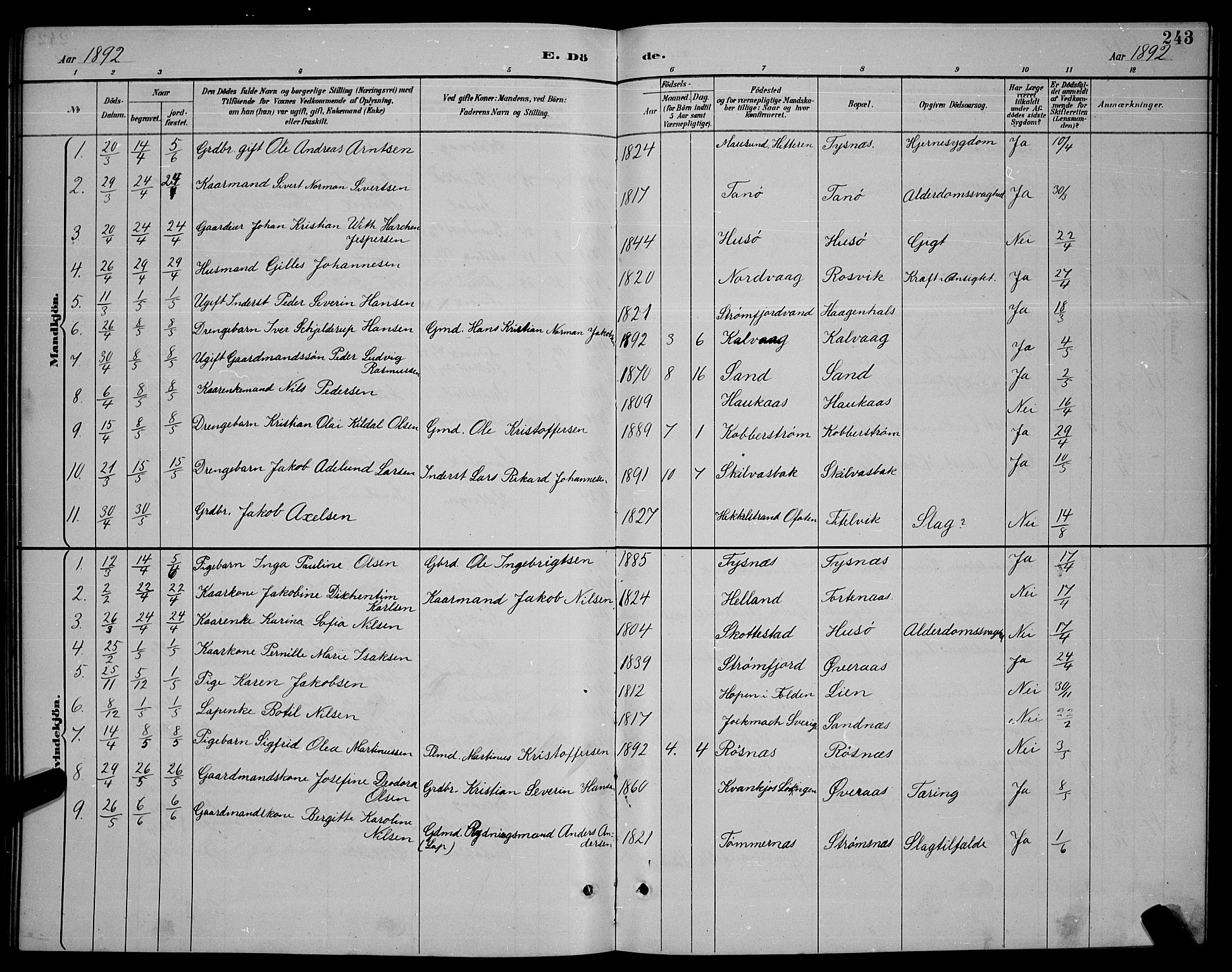 Ministerialprotokoller, klokkerbøker og fødselsregistre - Nordland, SAT/A-1459/859/L0859: Parish register (copy) no. 859C05, 1887-1898, p. 243