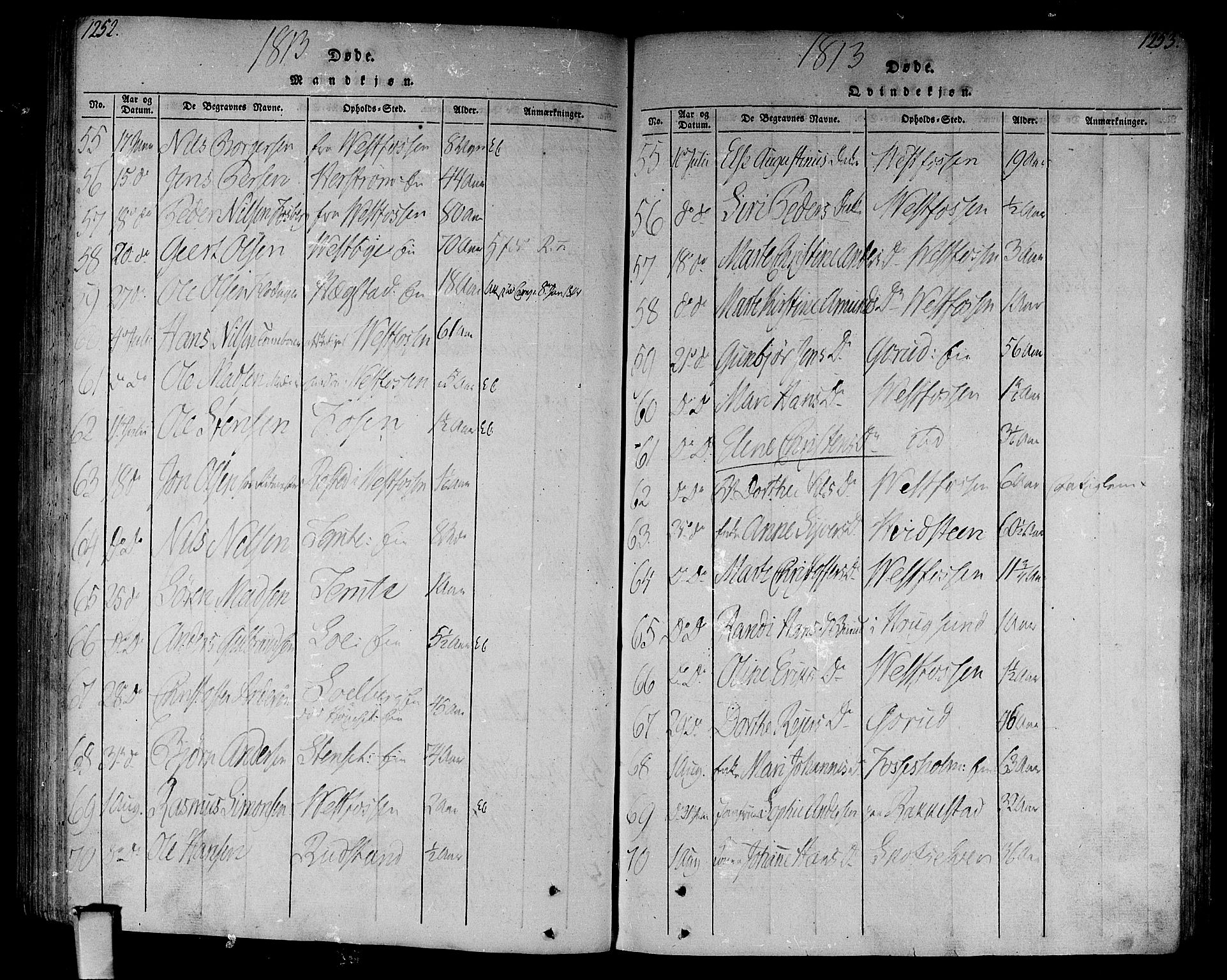 Eiker kirkebøker, AV/SAKO-A-4/F/Fa/L0010: Parish register (official) no. I 10, 1806-1815, p. 1252-1253