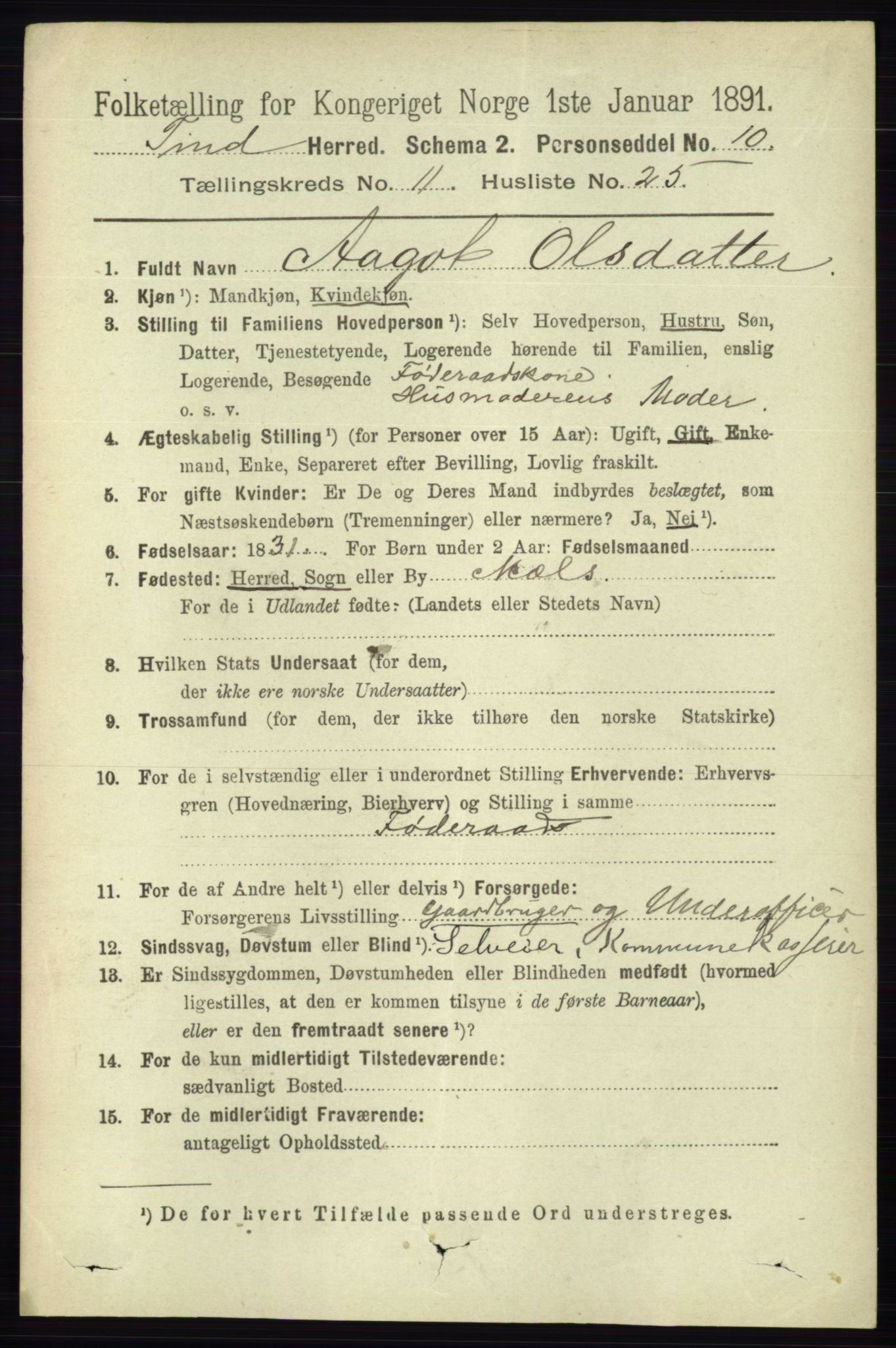 RA, 1891 census for 0826 Tinn, 1891, p. 2258