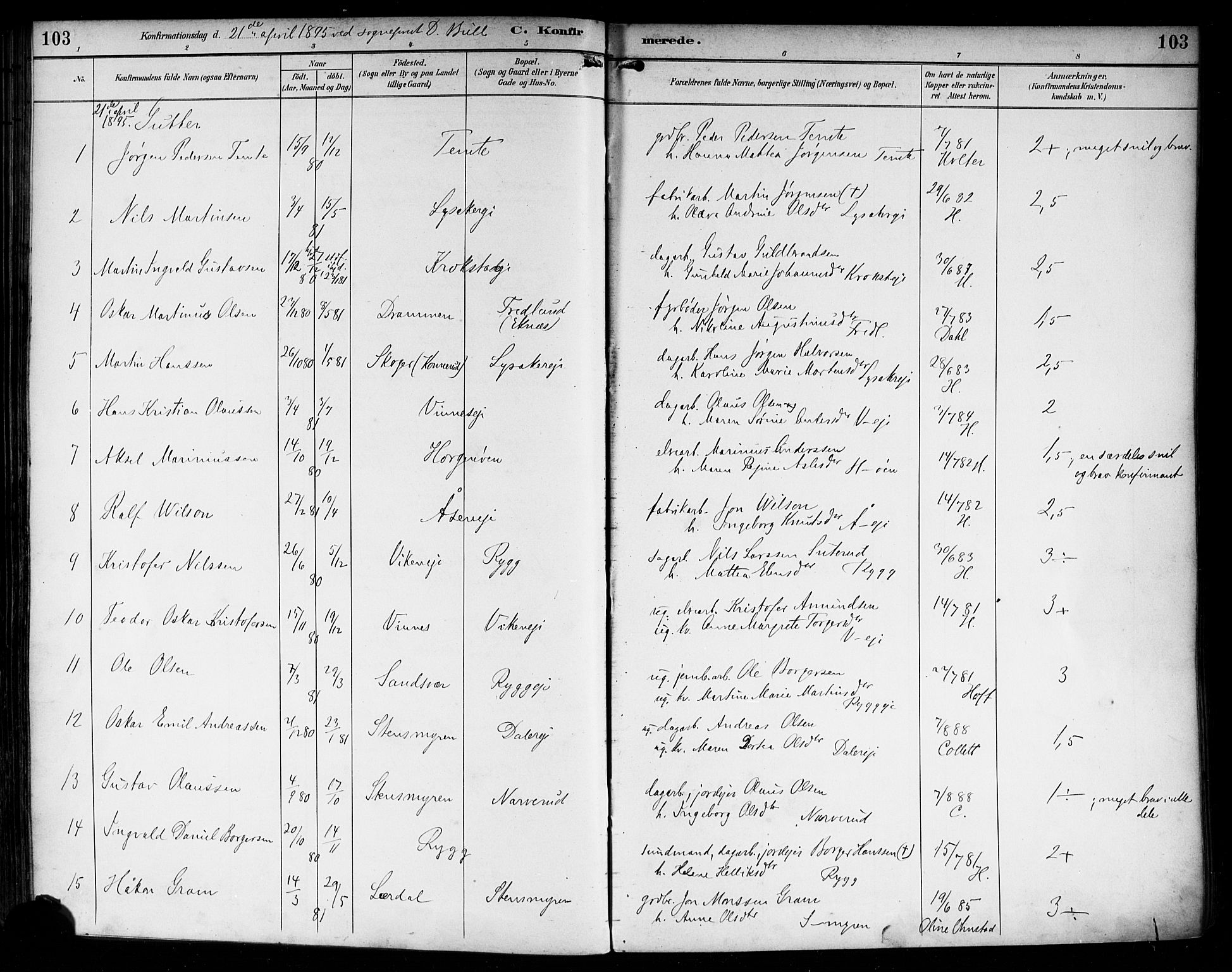 Nedre Eiker kirkebøker, AV/SAKO-A-612/F/Fa/L0004: Parish register (official) no. 4, 1893-1898, p. 103