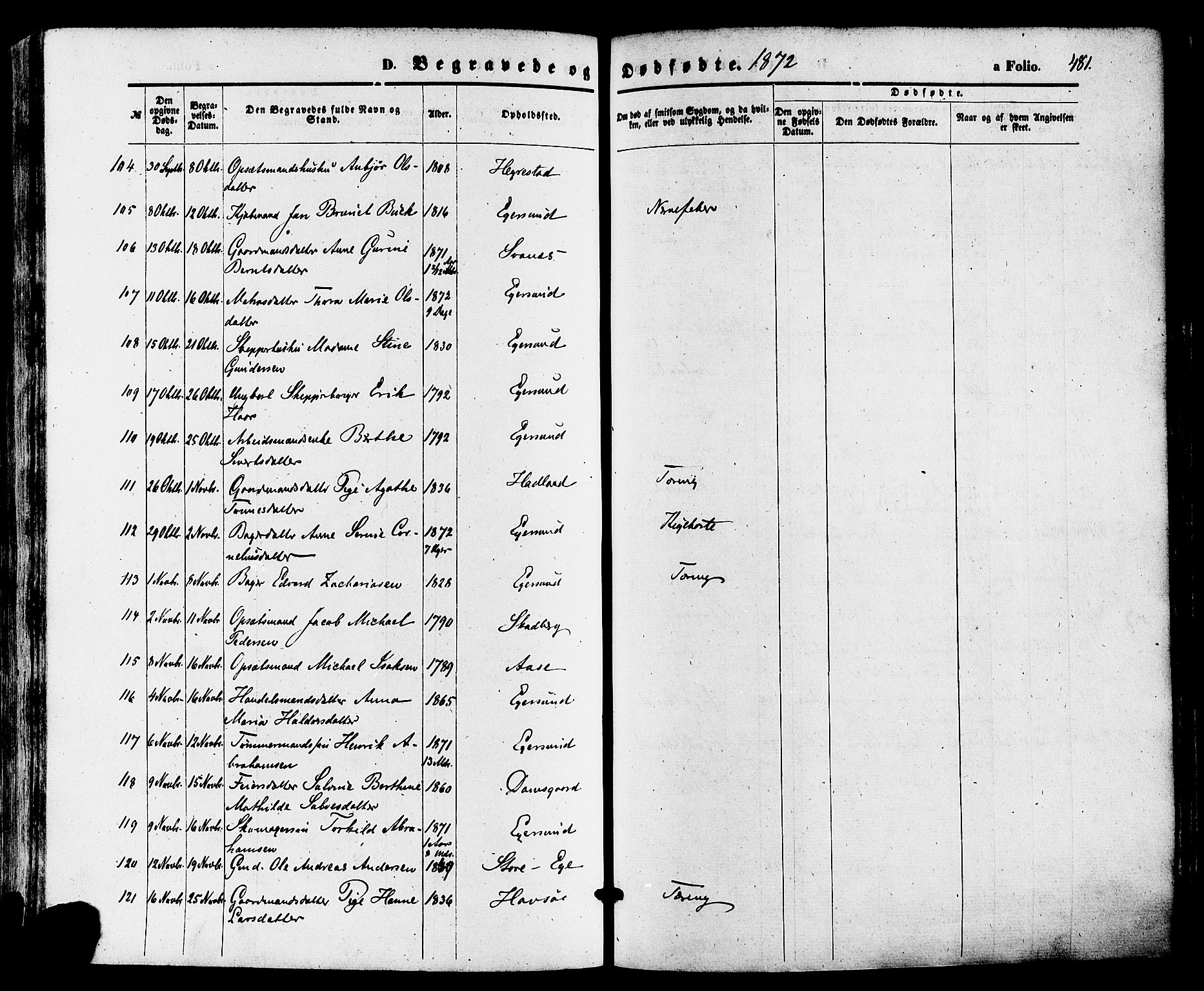 Eigersund sokneprestkontor, AV/SAST-A-101807/S08/L0014: Parish register (official) no. A 13, 1866-1878, p. 481