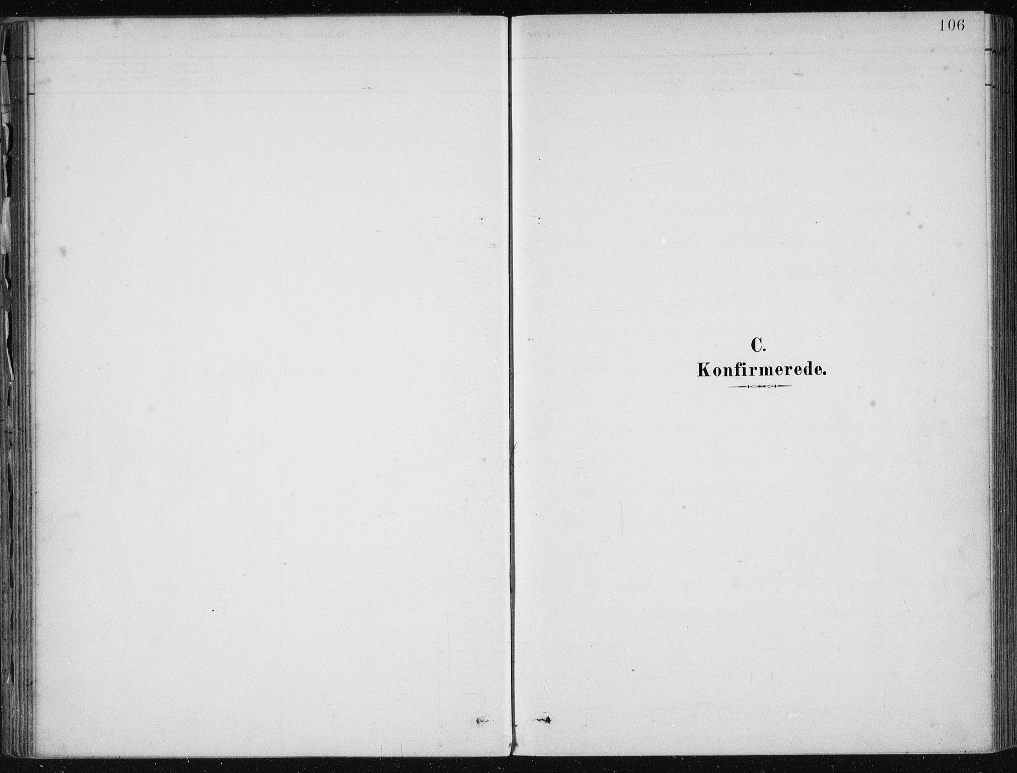 Fjelberg sokneprestembete, SAB/A-75201/H/Haa: Parish register (official) no. D 1, 1879-1918, p. 106