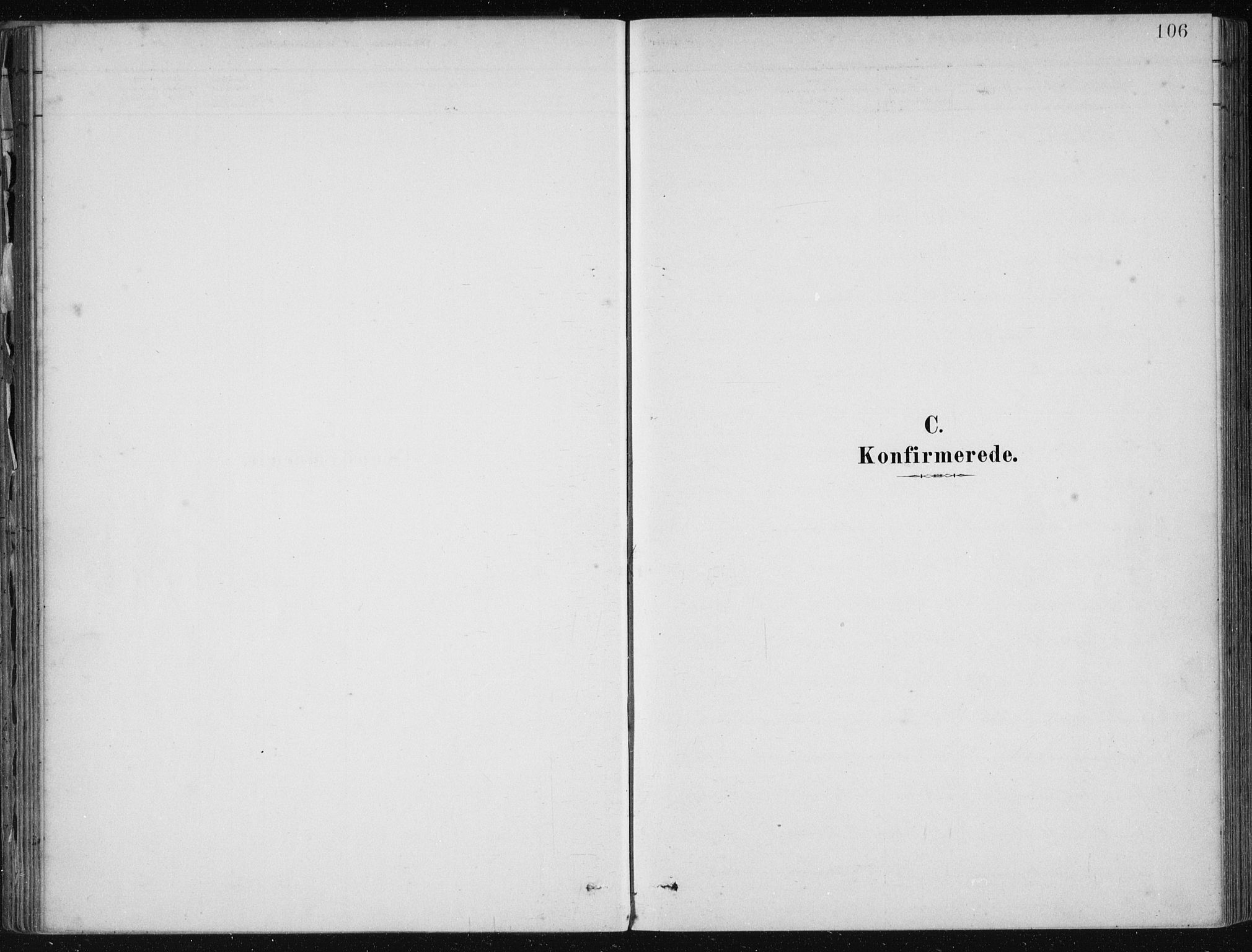 Fjelberg sokneprestembete, AV/SAB-A-75201/H/Haa: Parish register (official) no. D 1, 1879-1918, p. 106