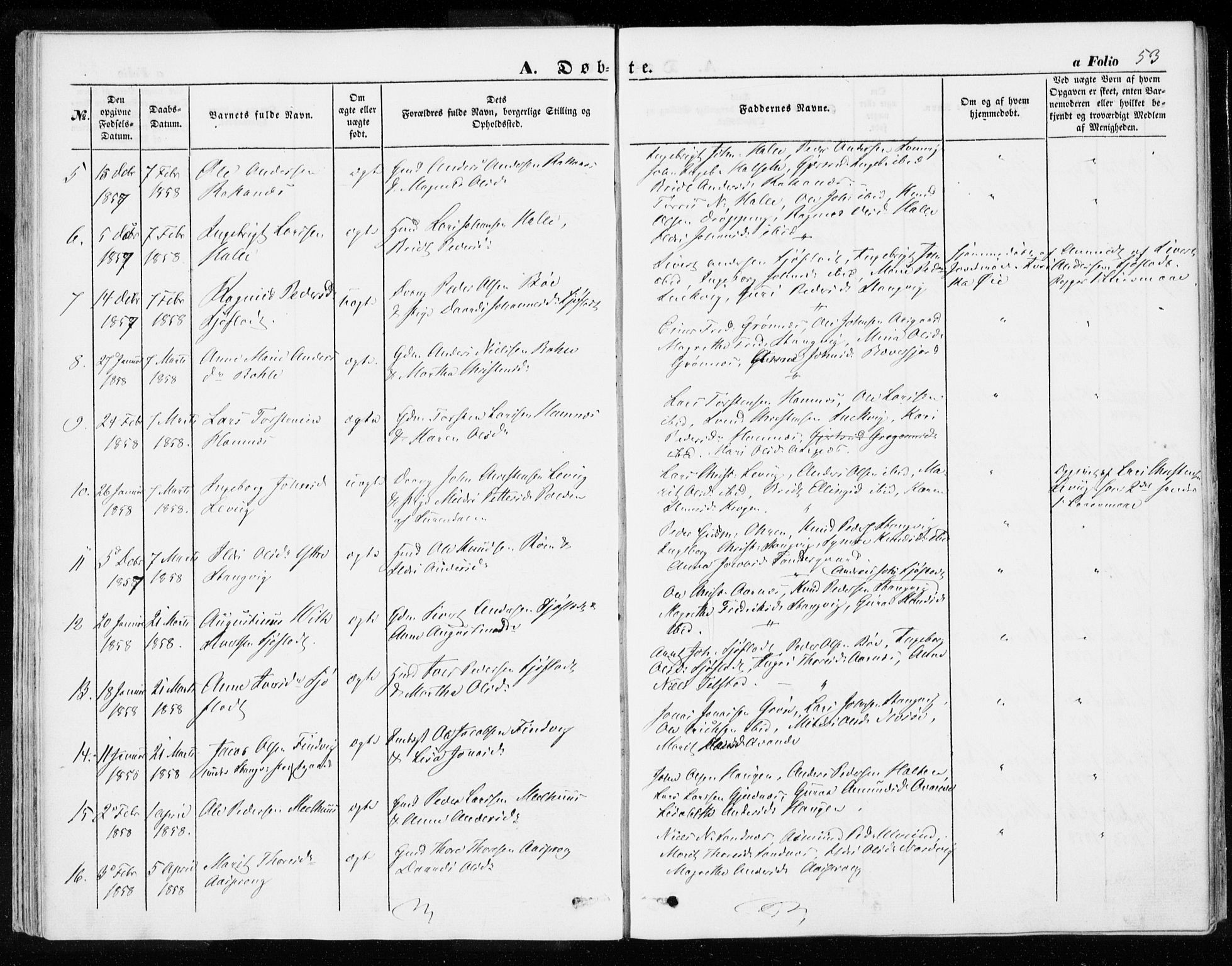 Ministerialprotokoller, klokkerbøker og fødselsregistre - Møre og Romsdal, SAT/A-1454/592/L1026: Parish register (official) no. 592A04, 1849-1867, p. 53